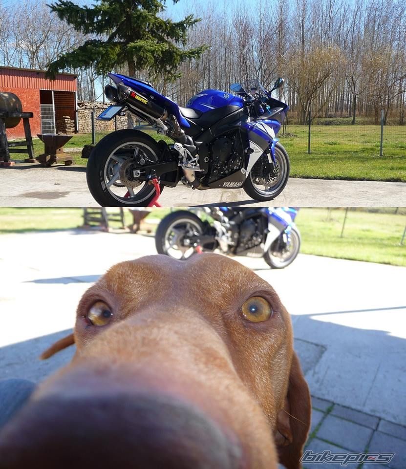 Bike Photo 2650344
