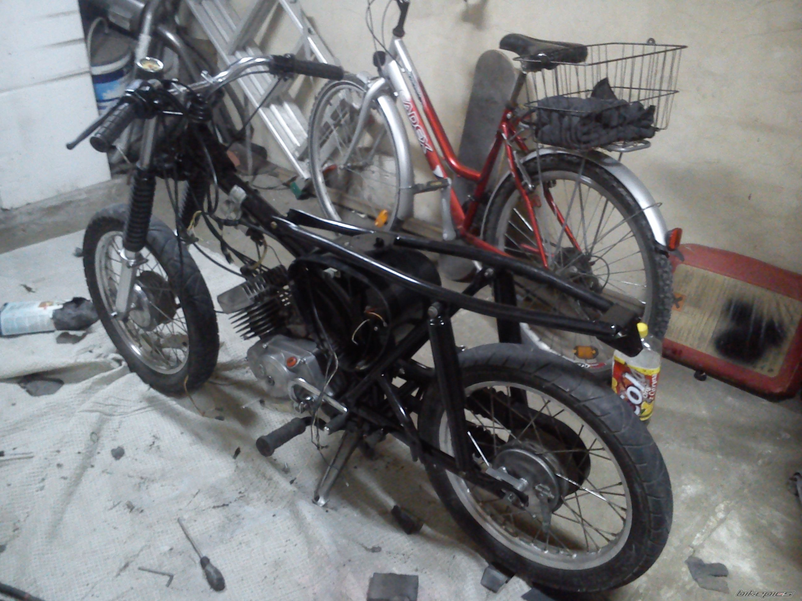 Photo 2650388