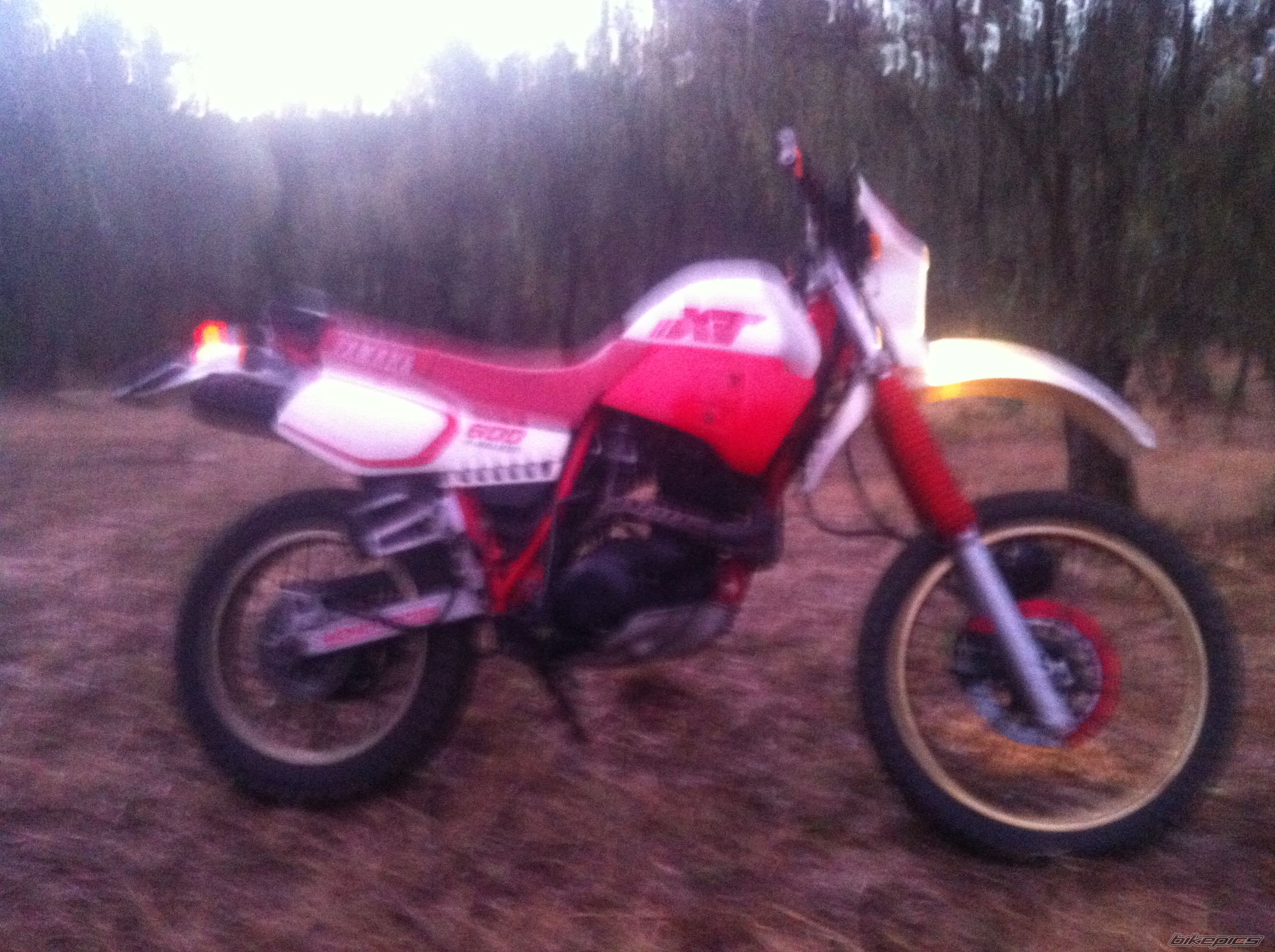 Photo 2650417