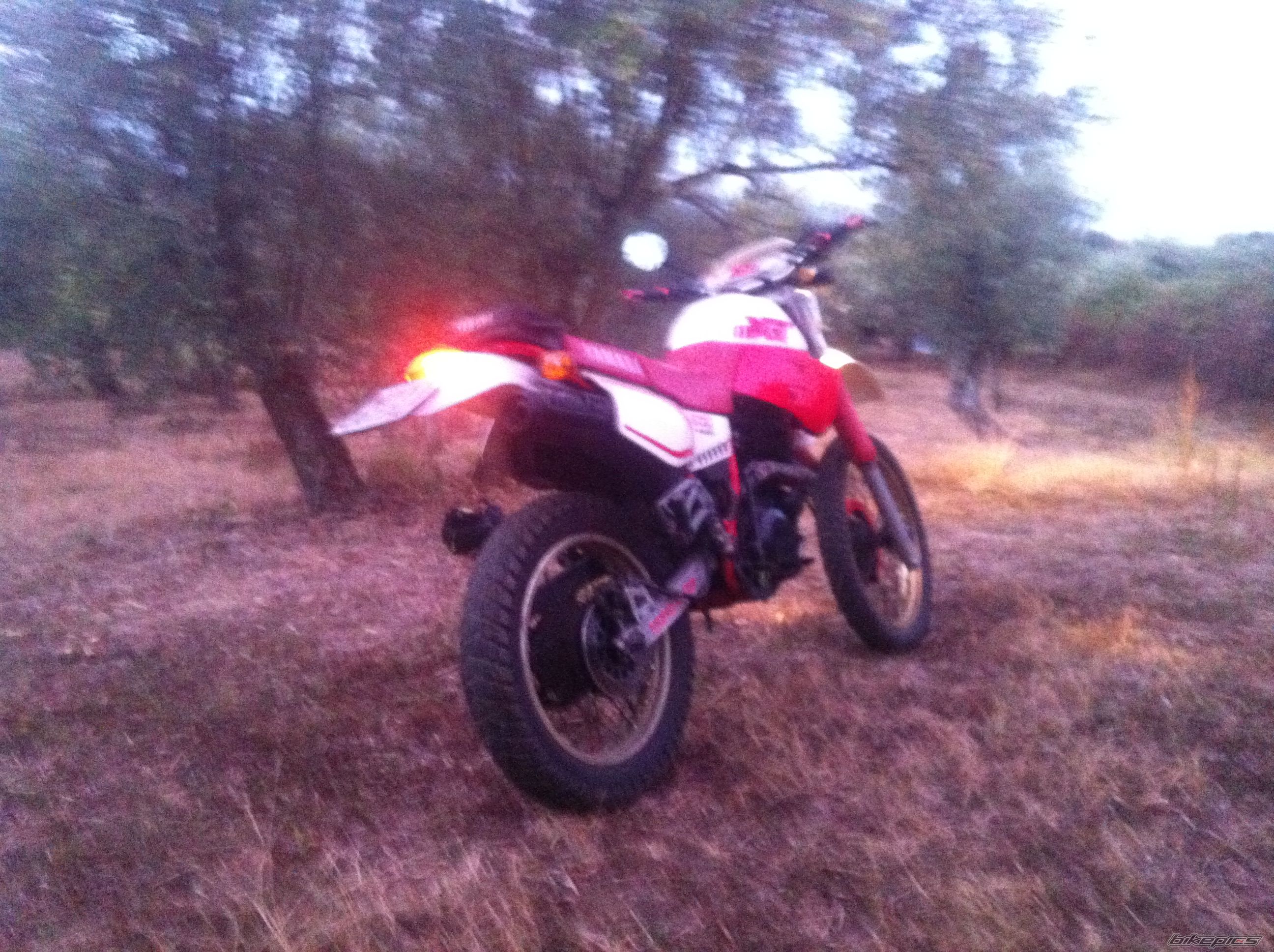 Photo 2650418