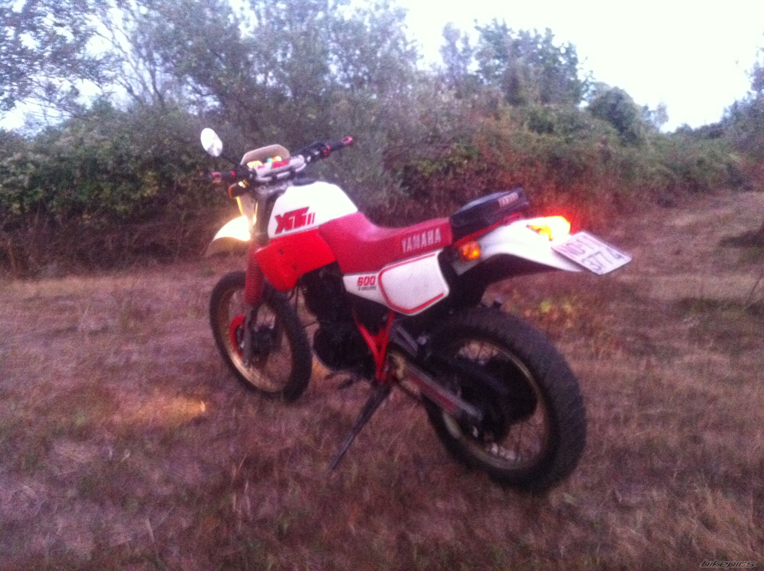 Photo 2650419