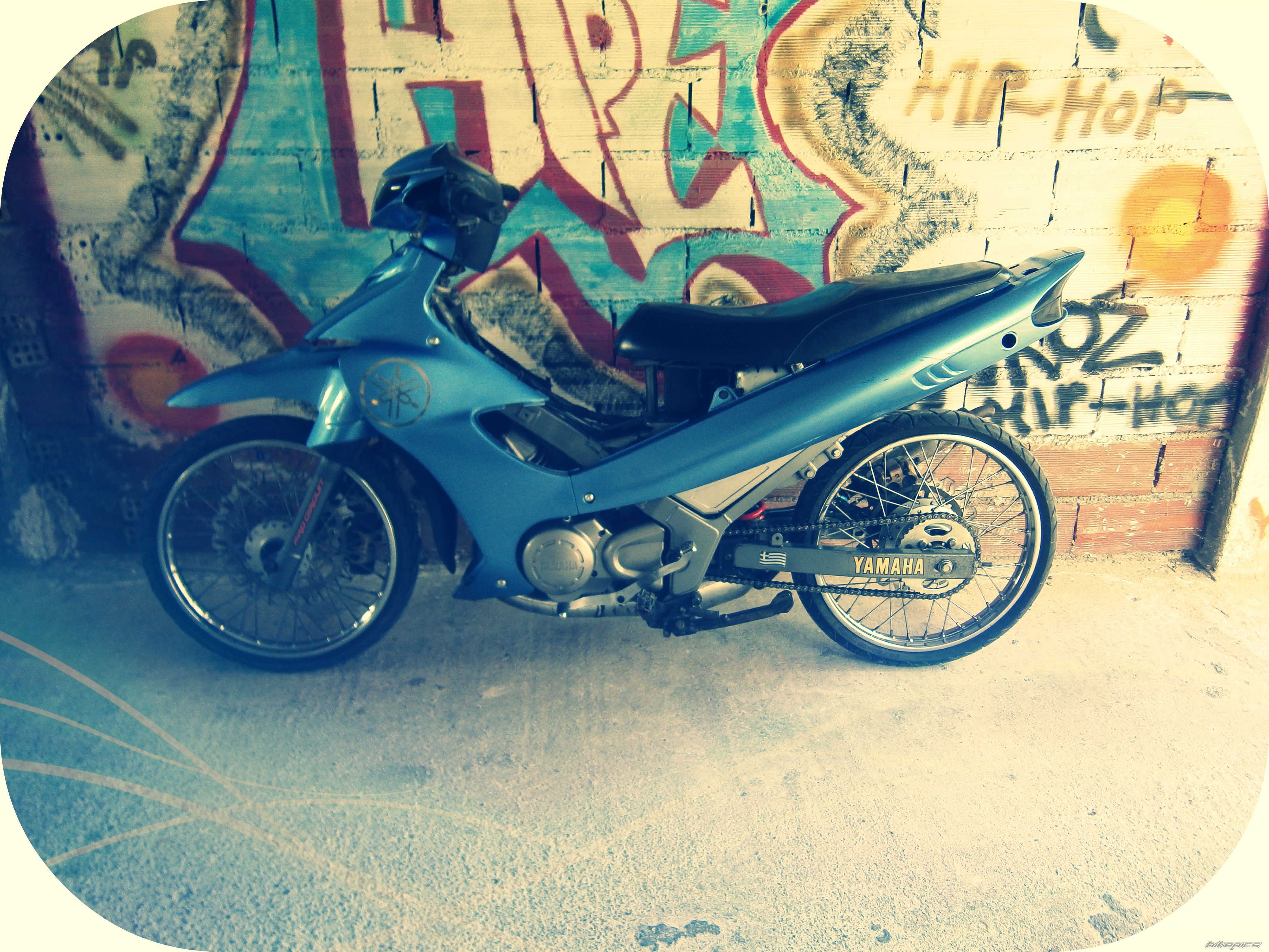 Photo 2650455