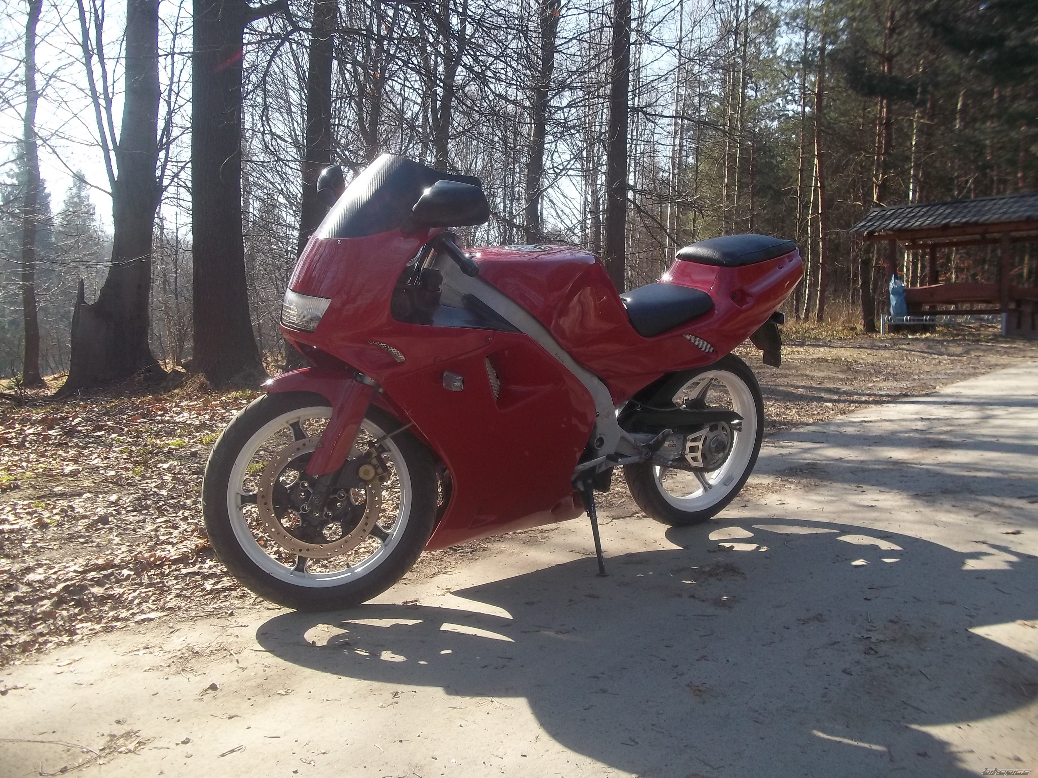 Photo 2650537