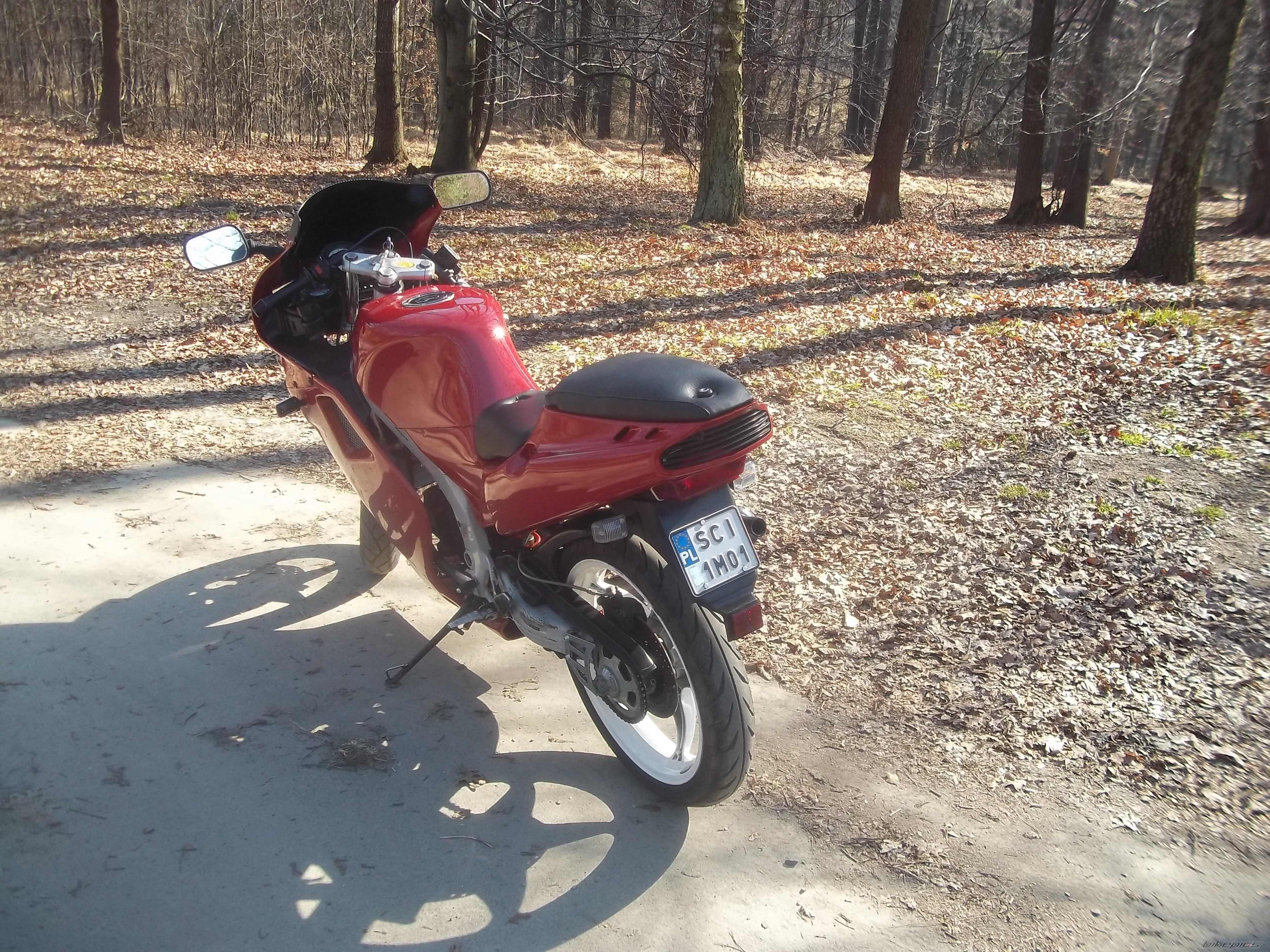 Photo 2650548