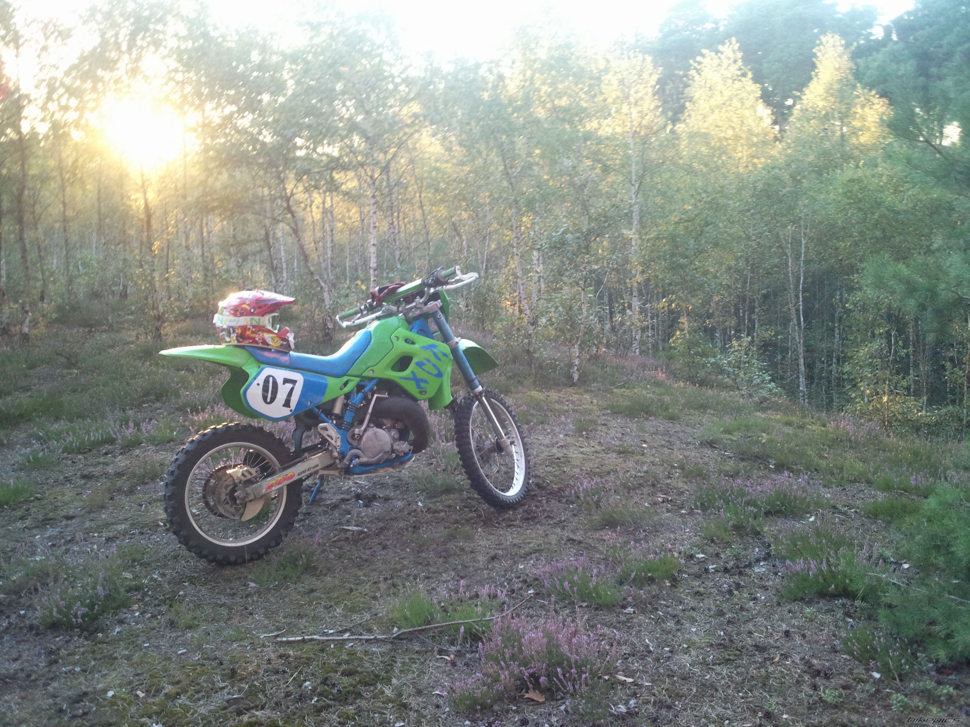 Photo 2650573