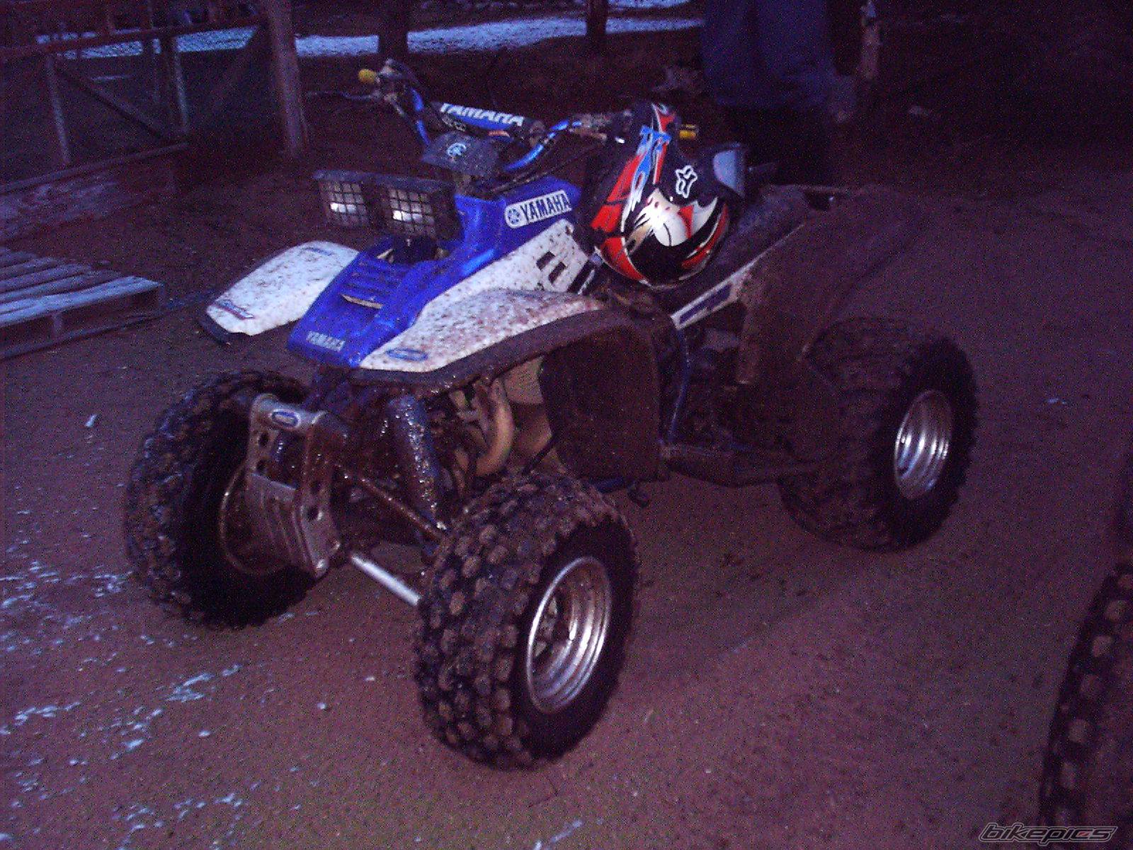 Photo 265058