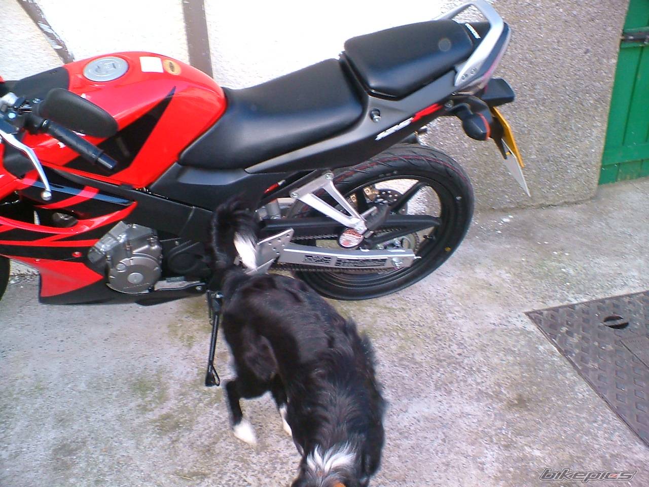 Bike Photo 265074