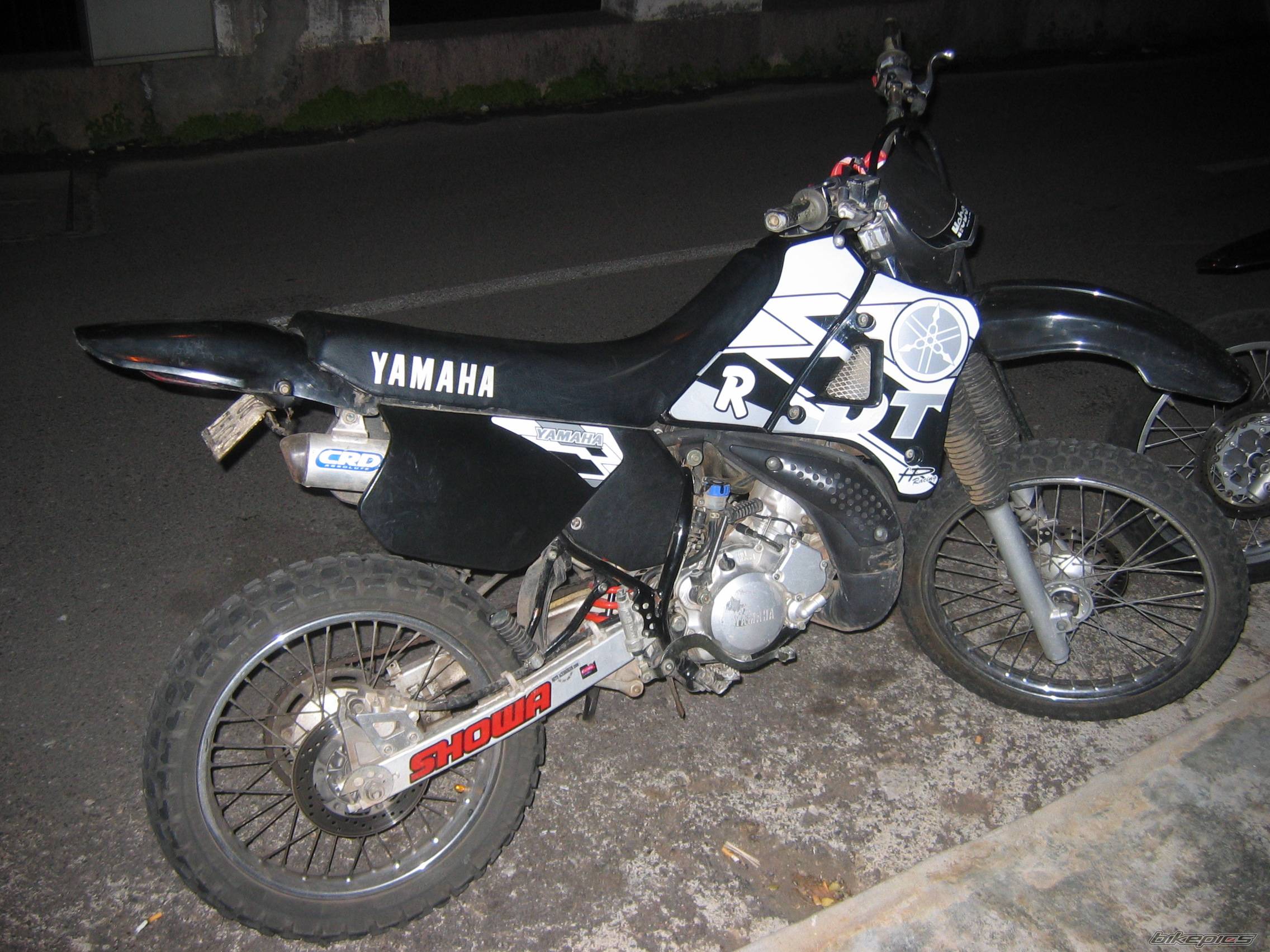 Photo 265079