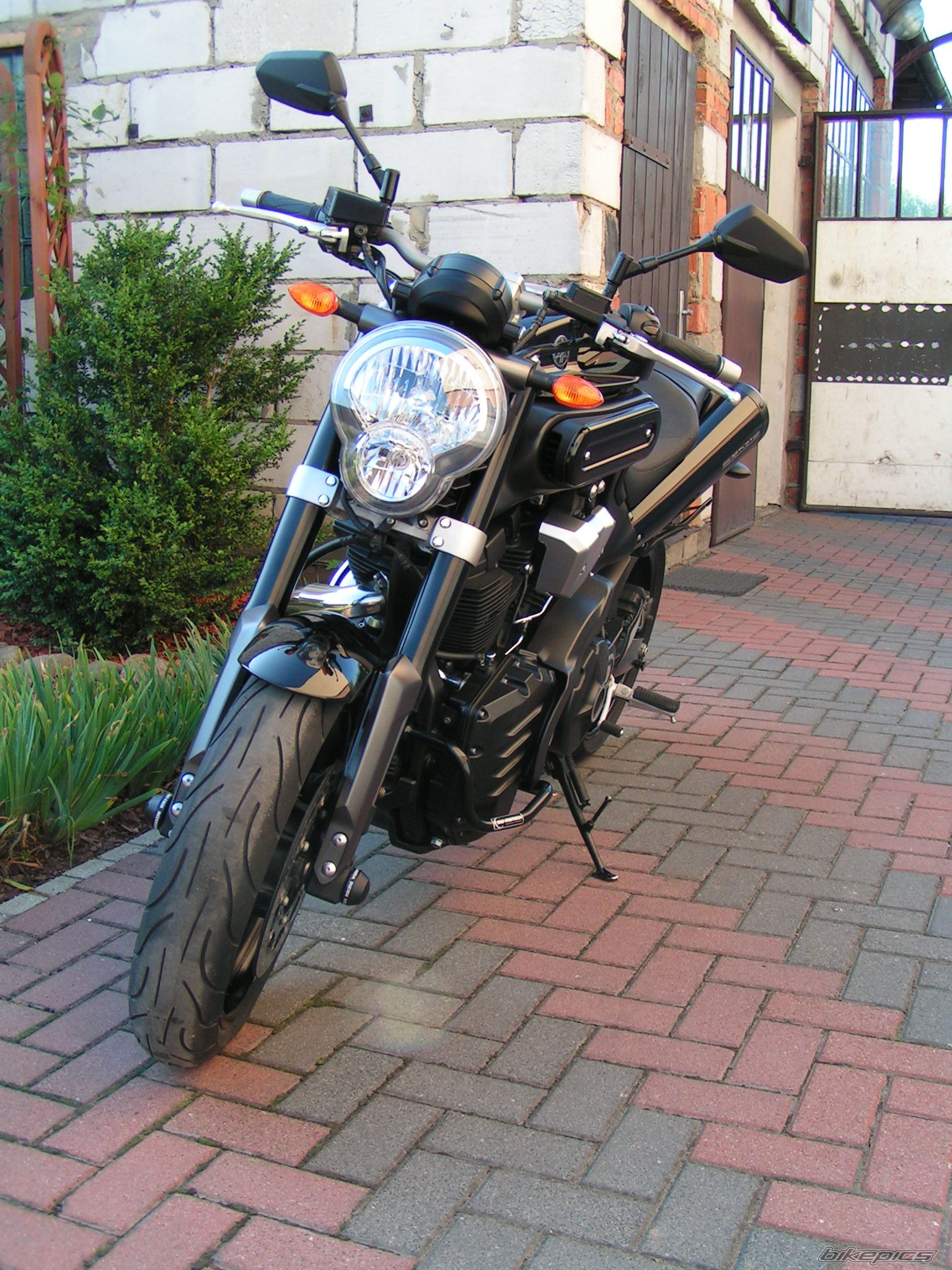 Photo 2650790