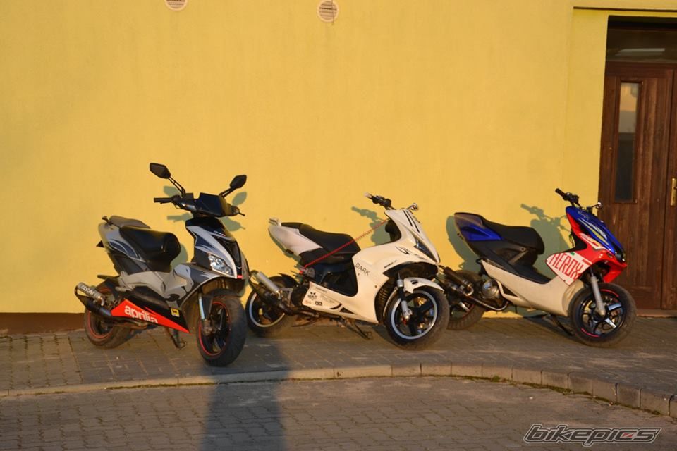 Photo 2651307