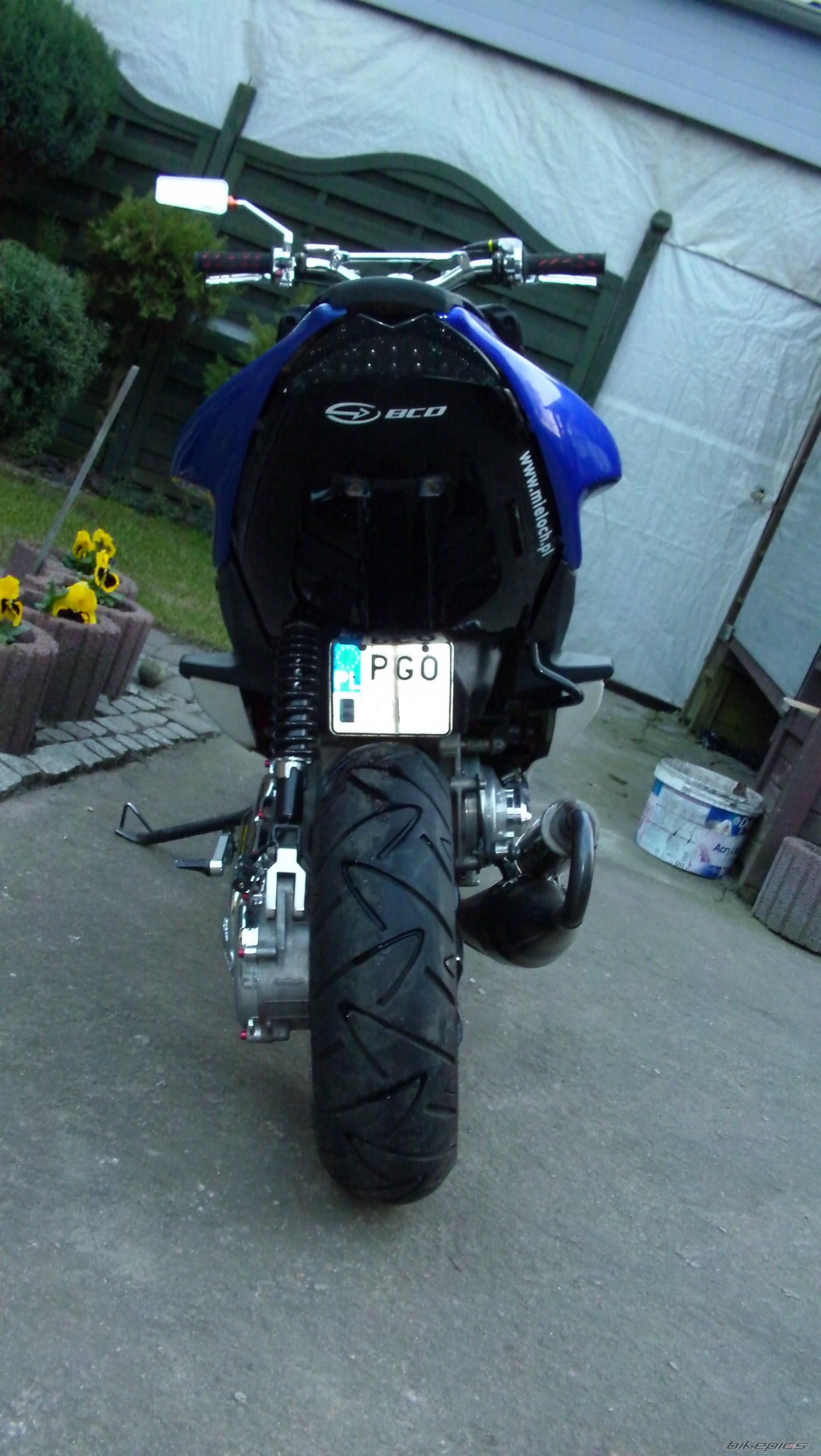 Photo 2651318