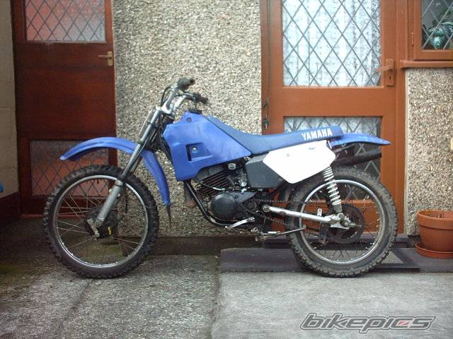 Bike Photo 265156