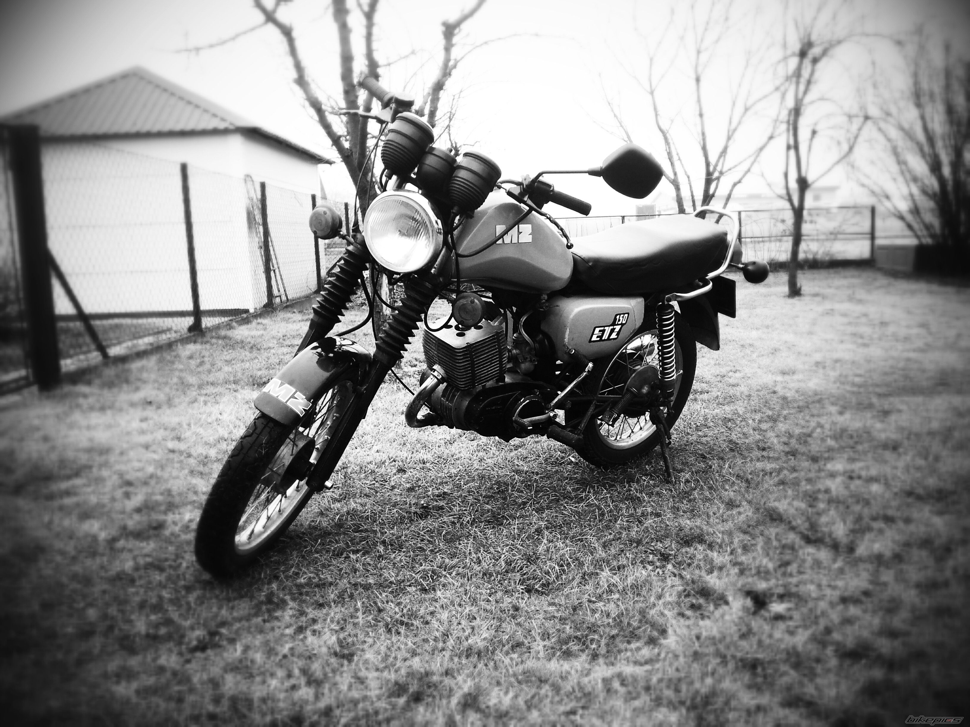 Photo 2651589
