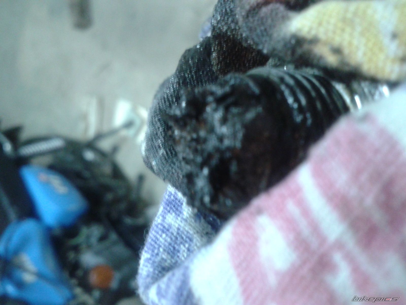 Photo 2651598