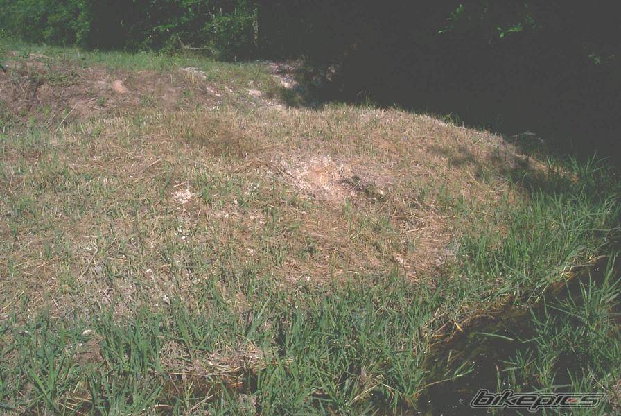 Photo 26516