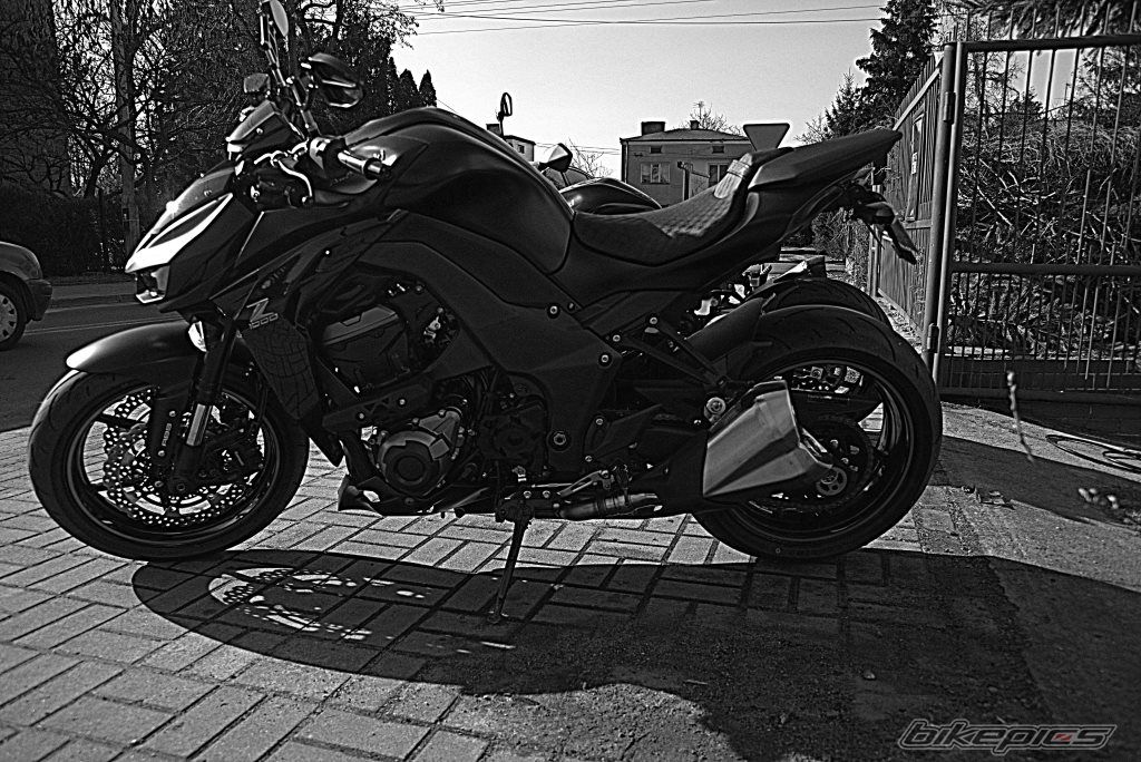 Photo 2651614