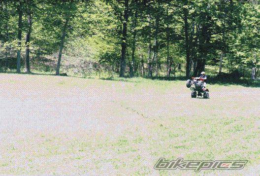 Photo 265176
