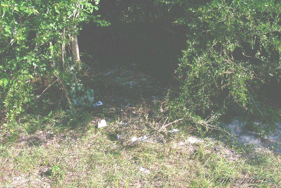 Photo 26519