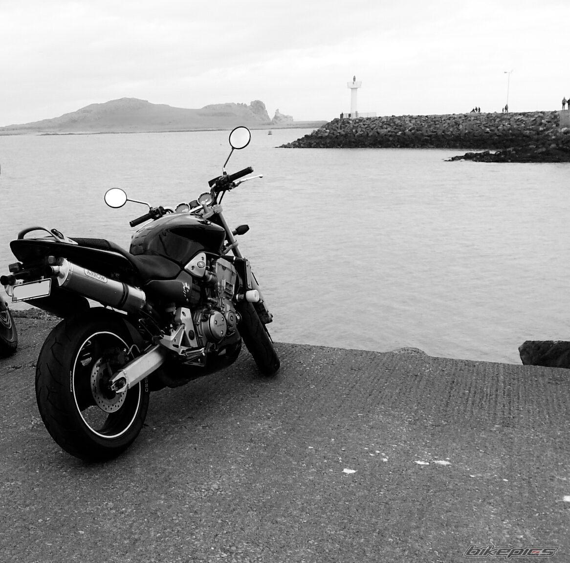 Photo 2651990