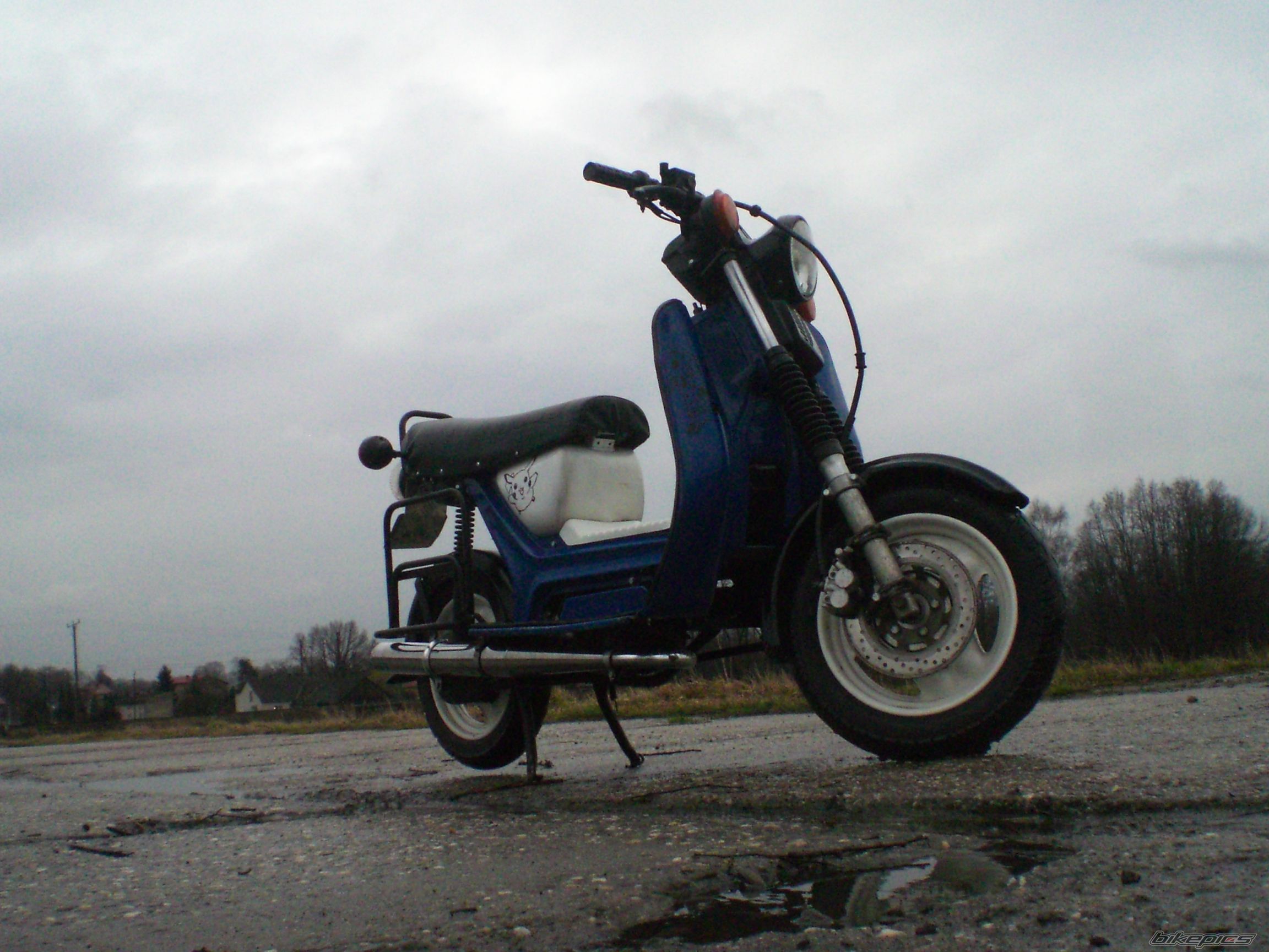 Photo 2652379