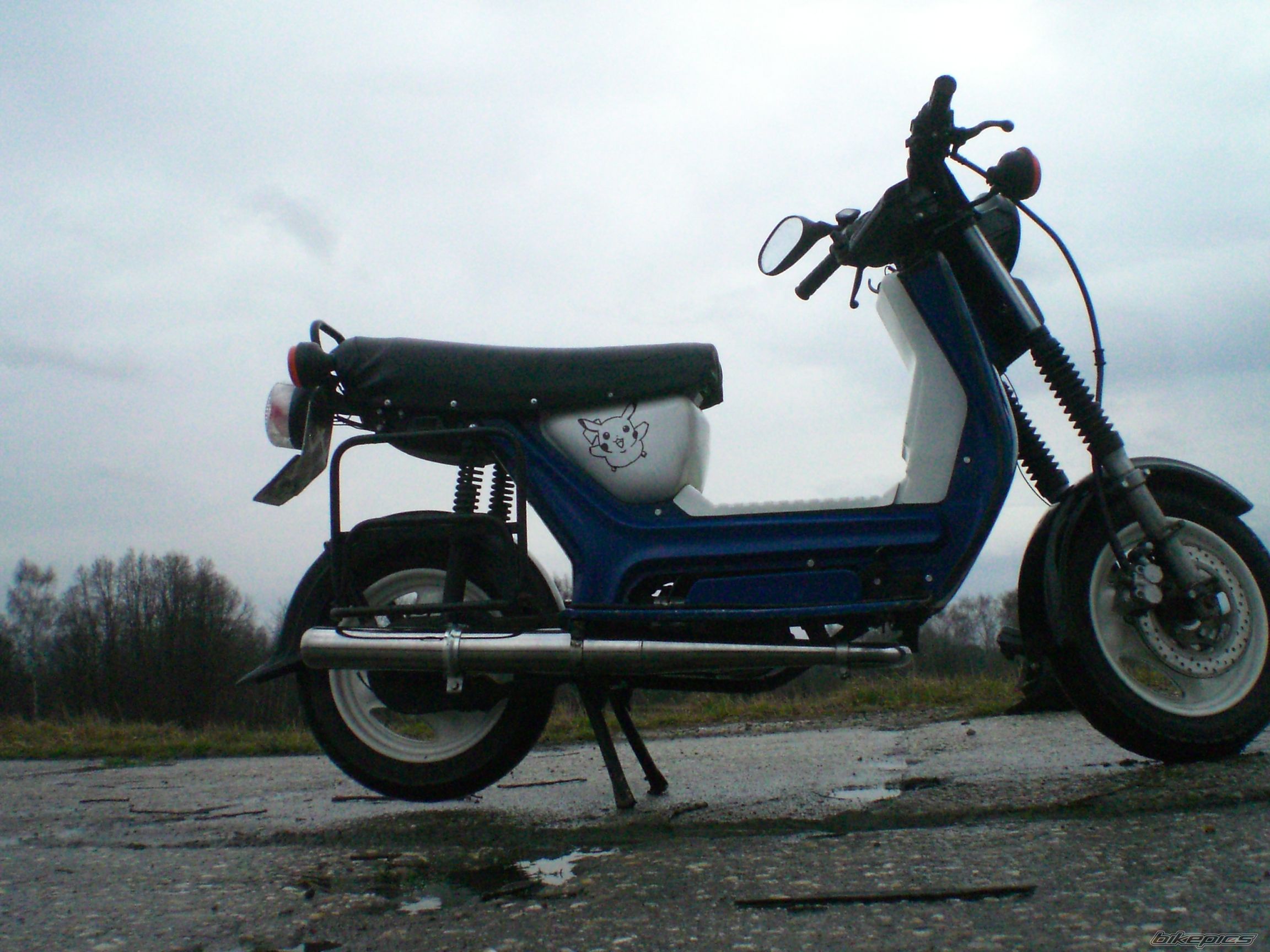 Photo 2652380