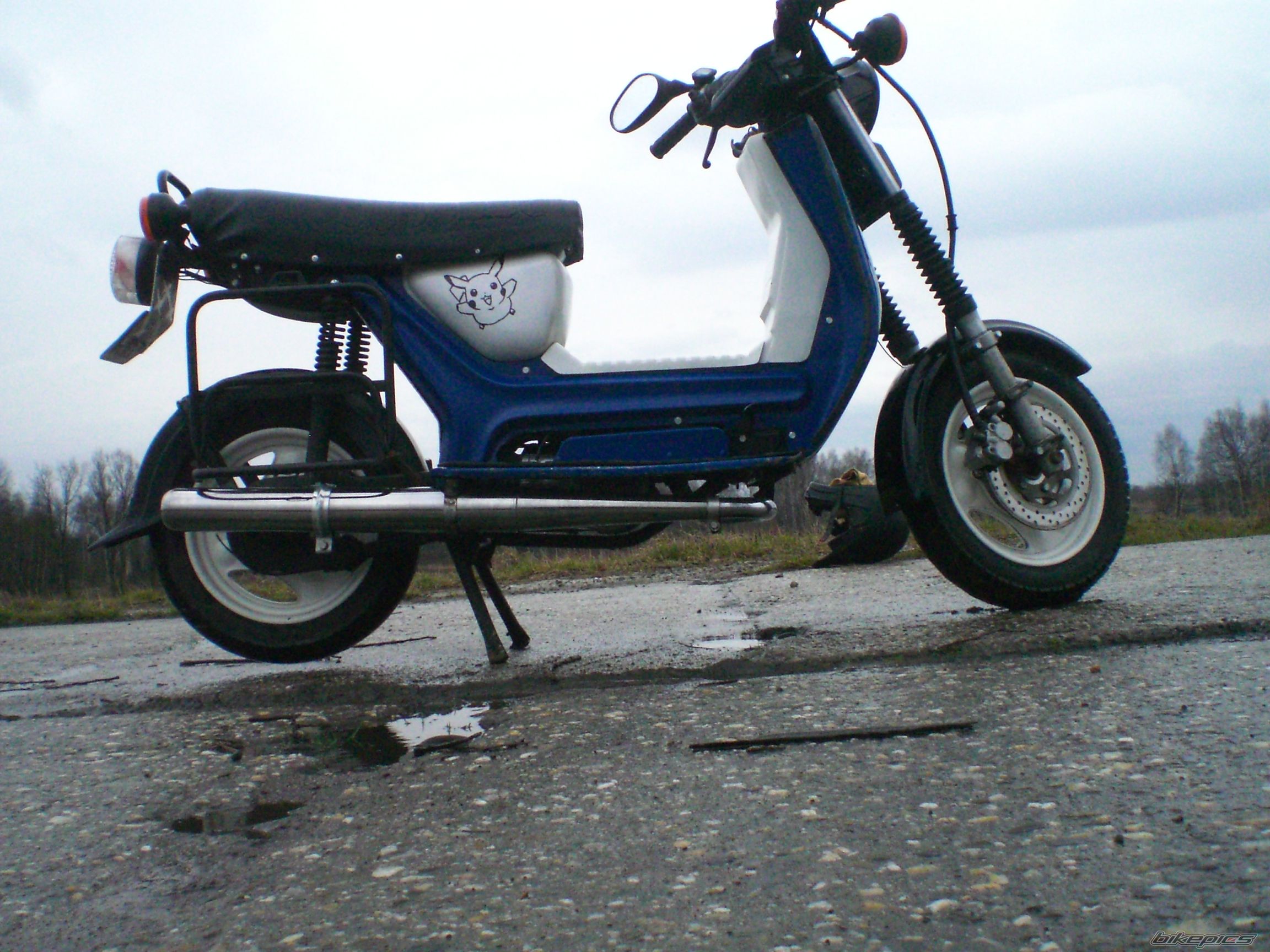 Photo 2652381
