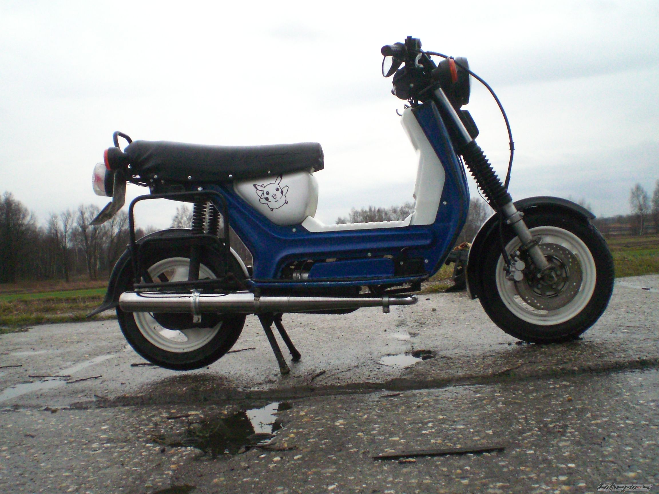 Photo 2652382