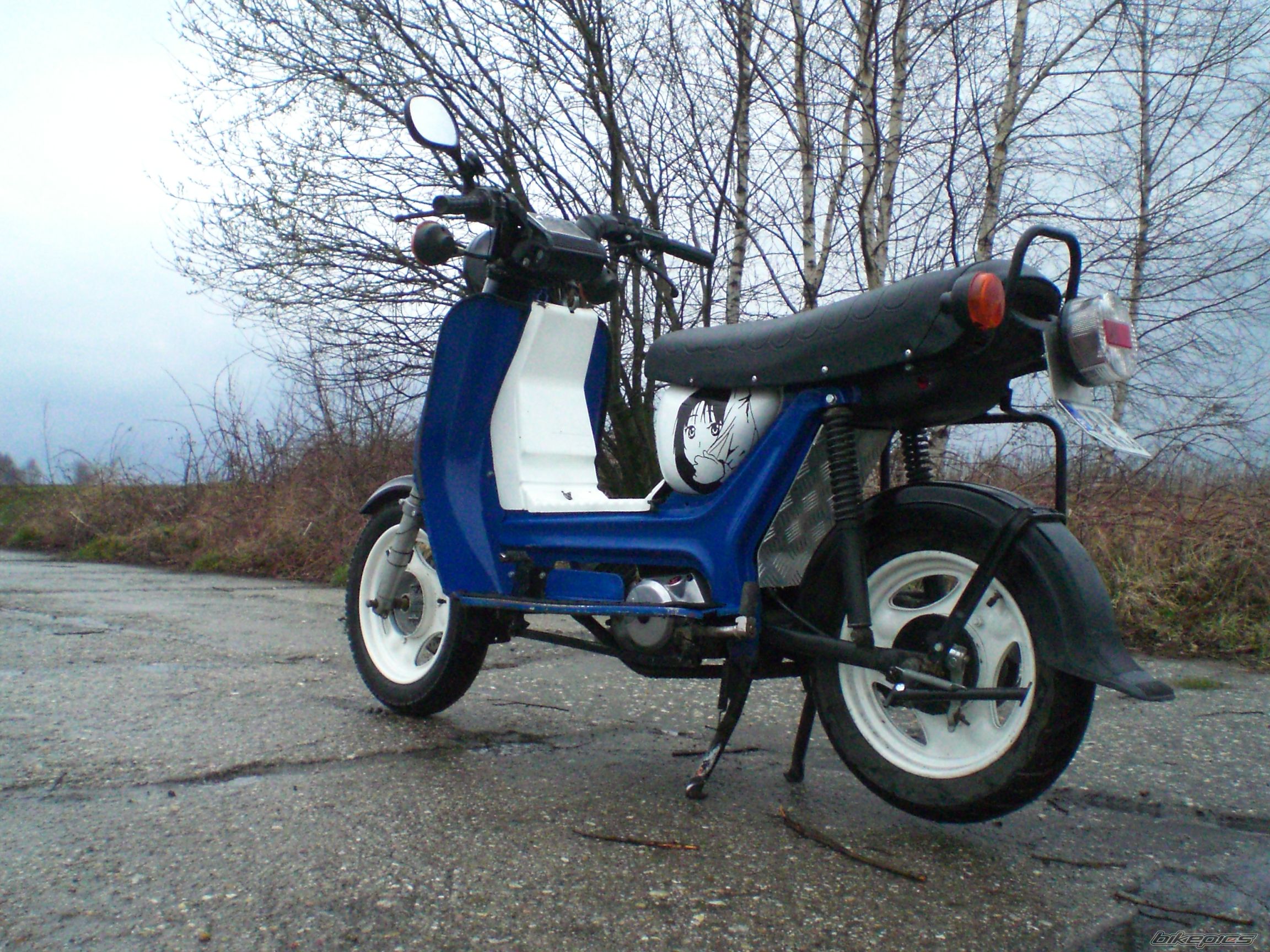 Photo 2652386