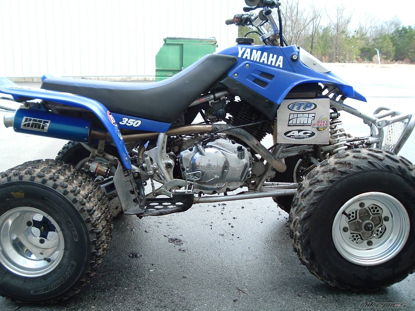 Photo 265250