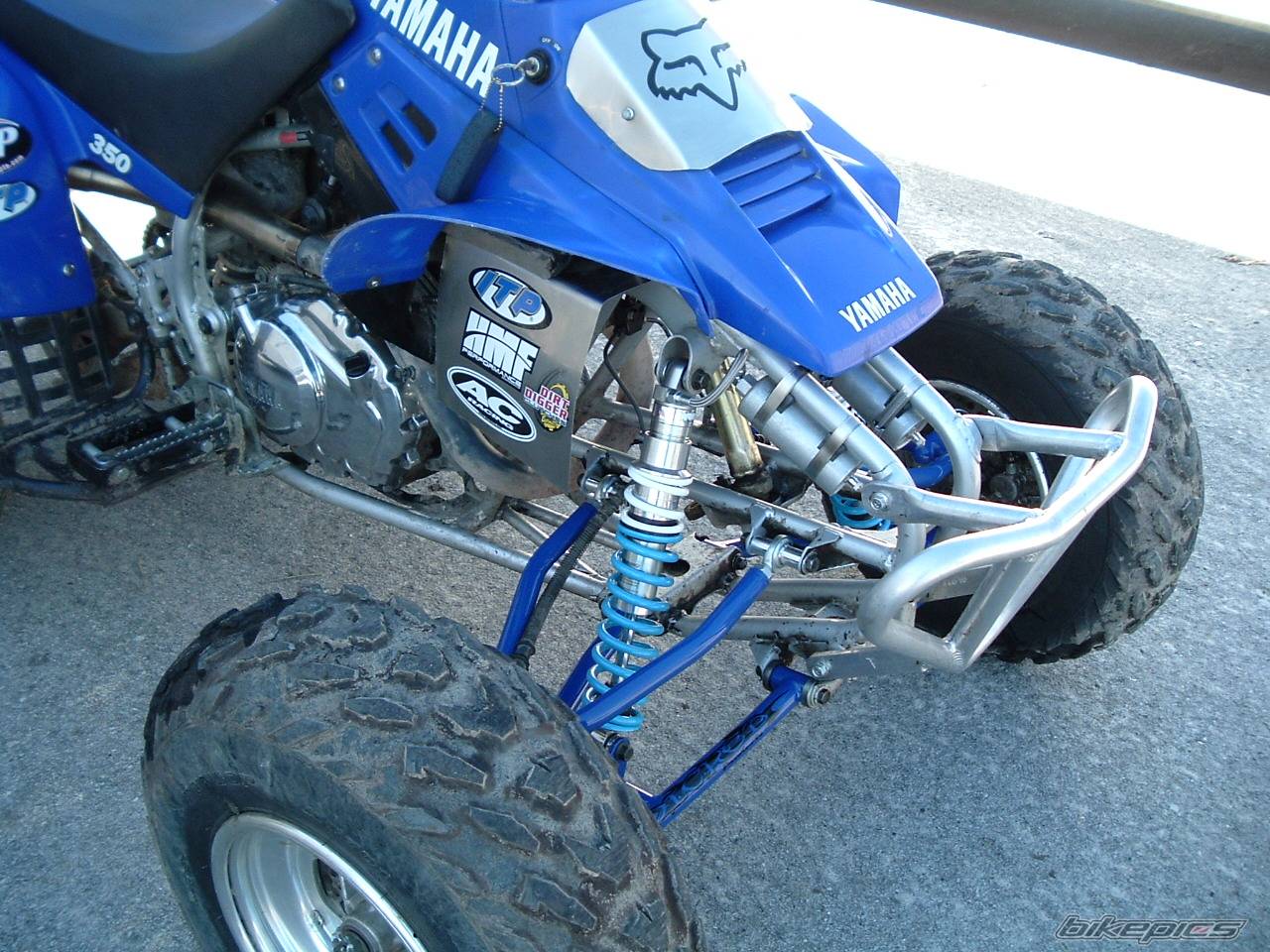 Photo 265253