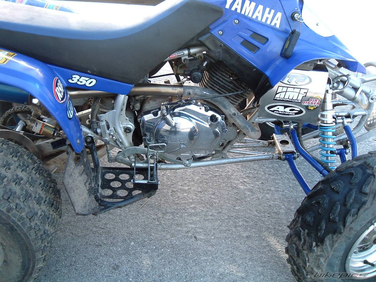 Photo 265254