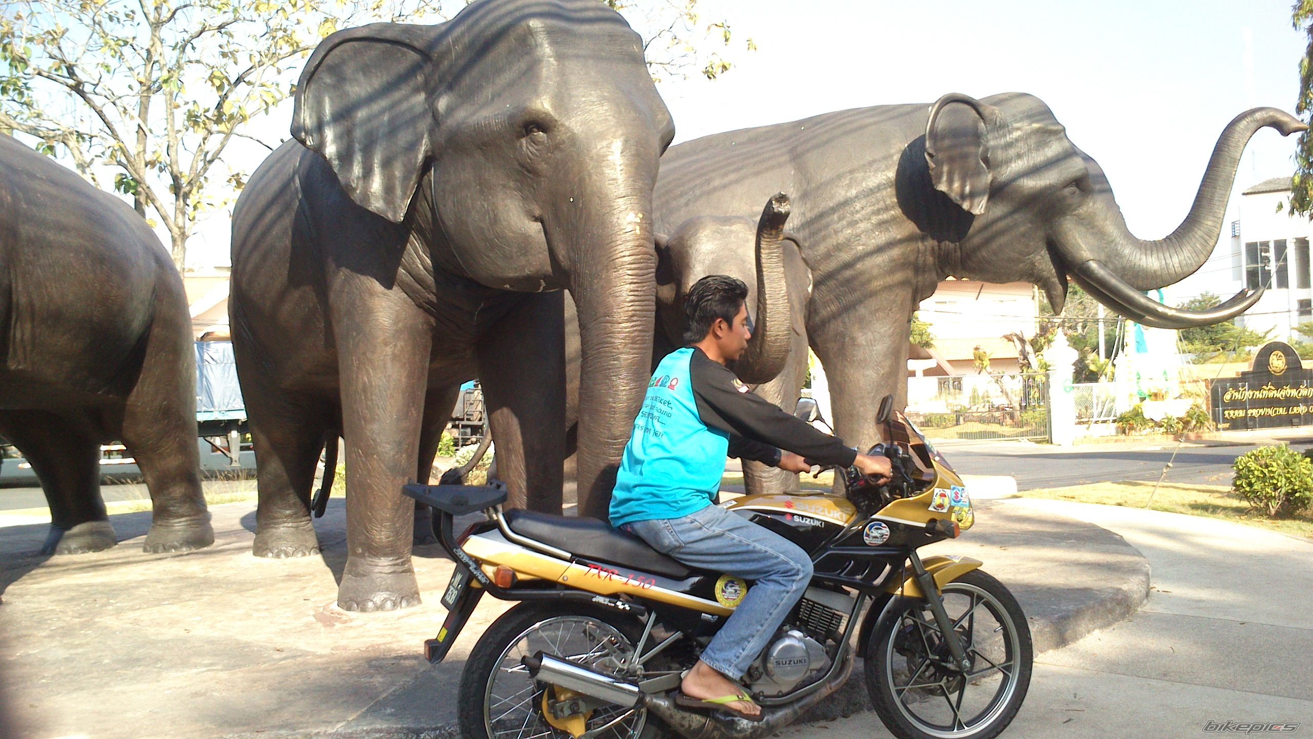 Photo 2652569