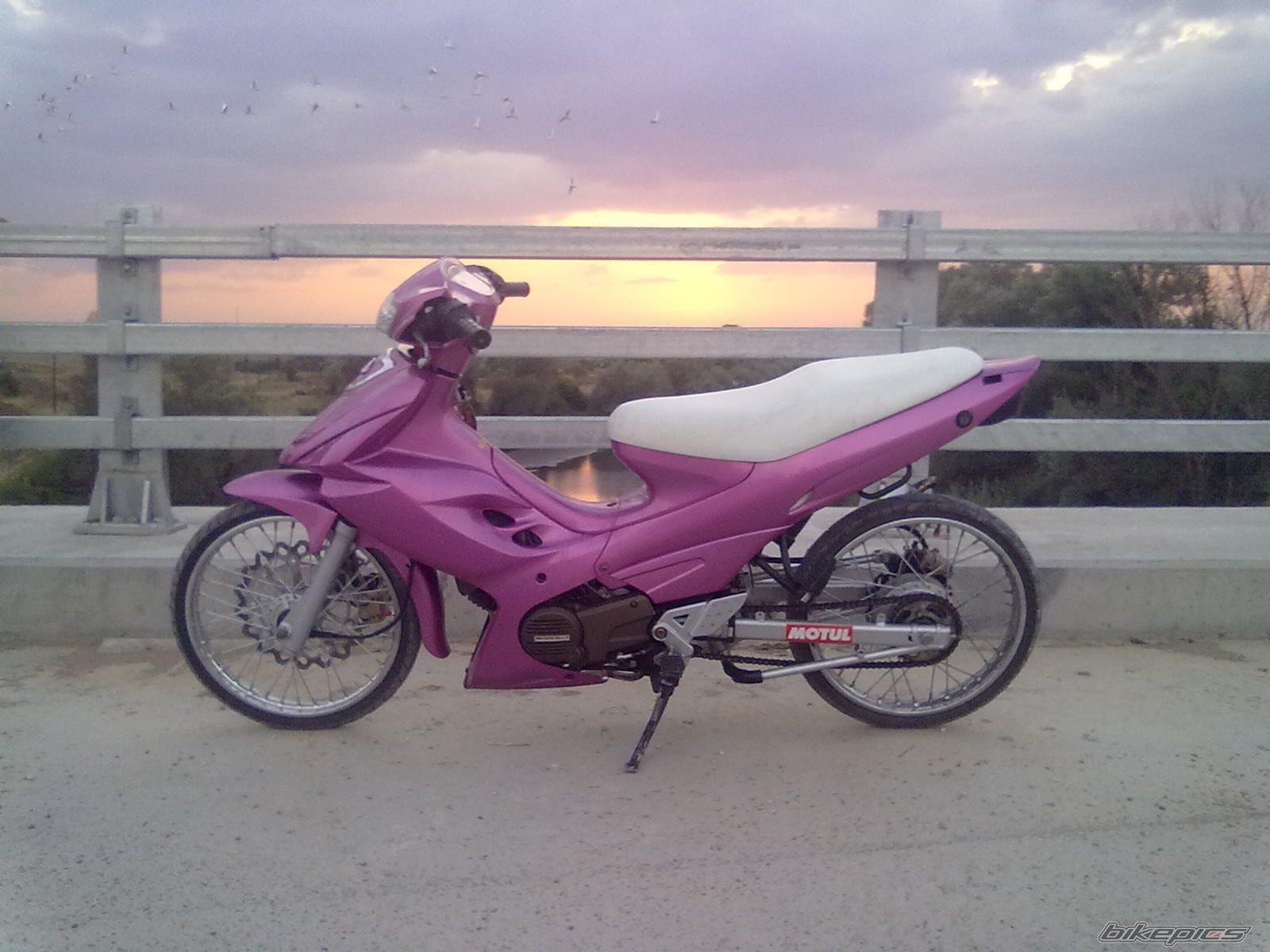 Photo 2652573
