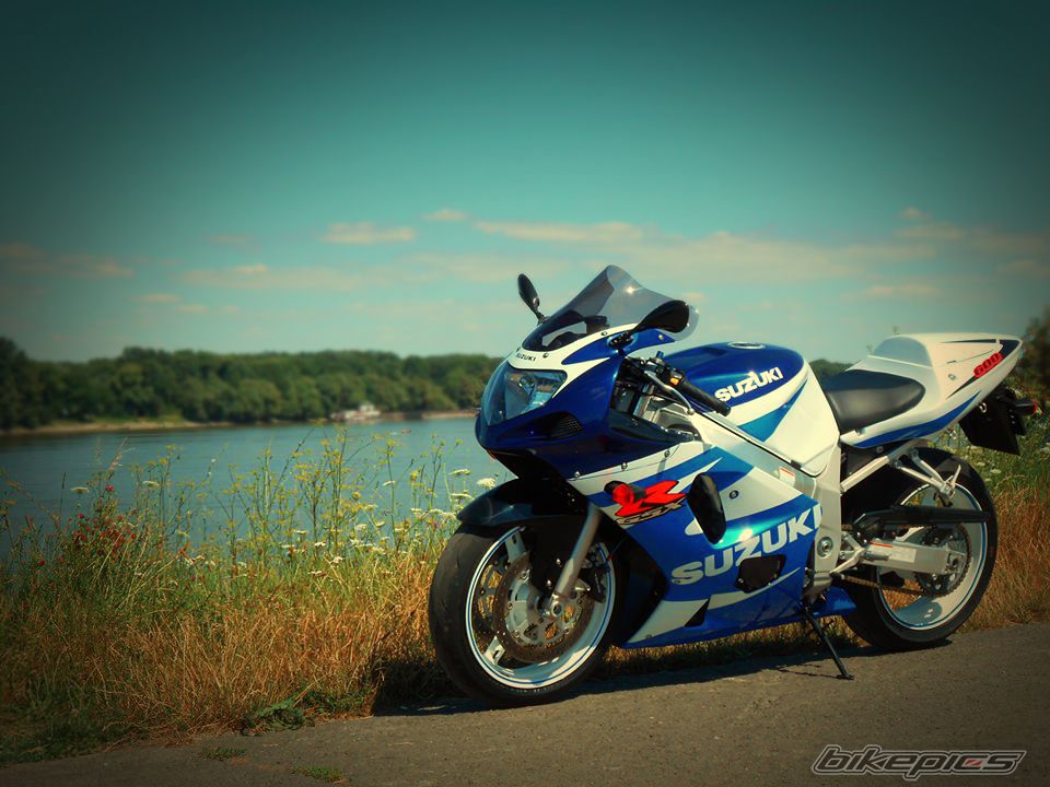 Photo 2652617