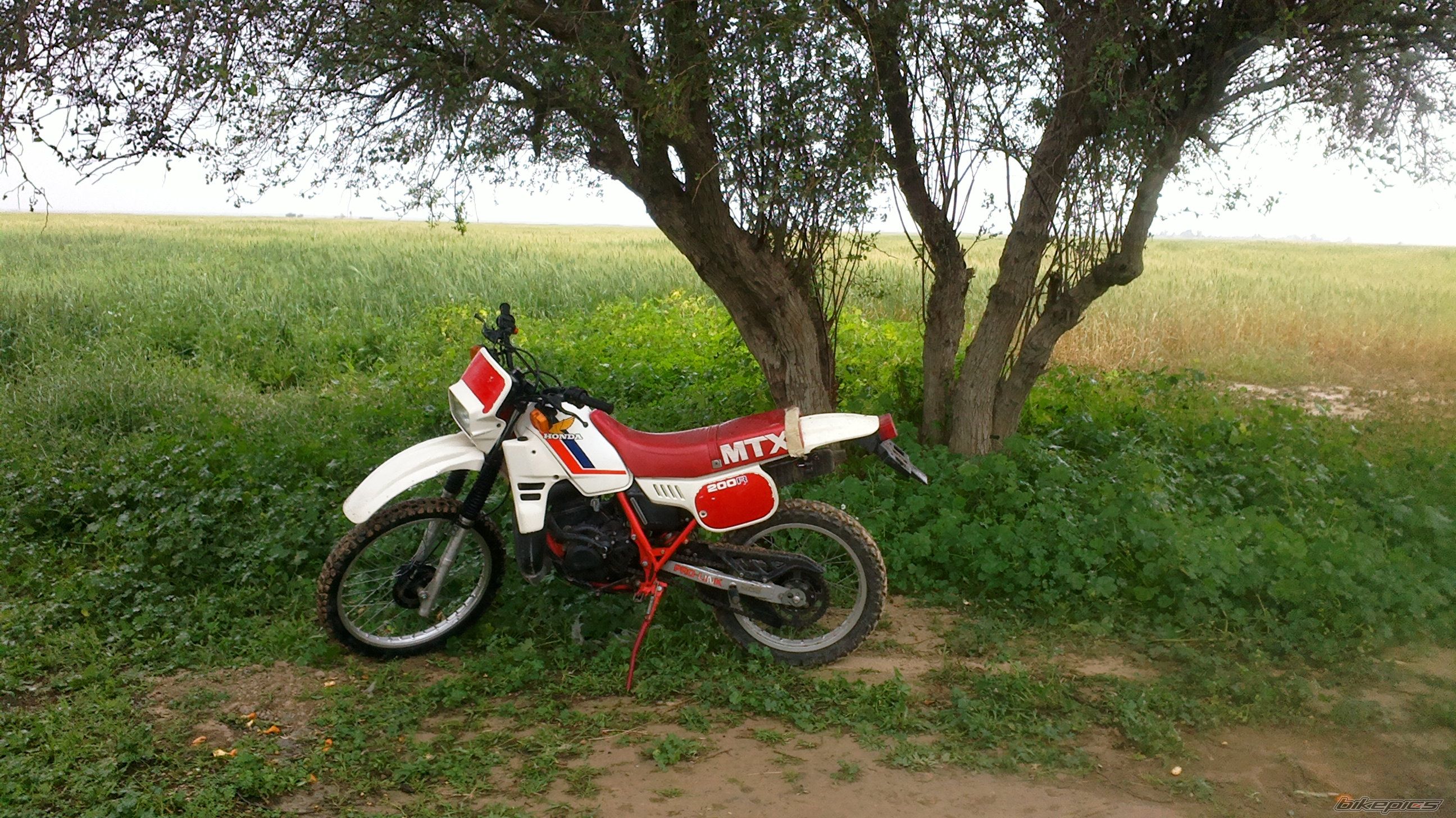 Bike Photo 2652706