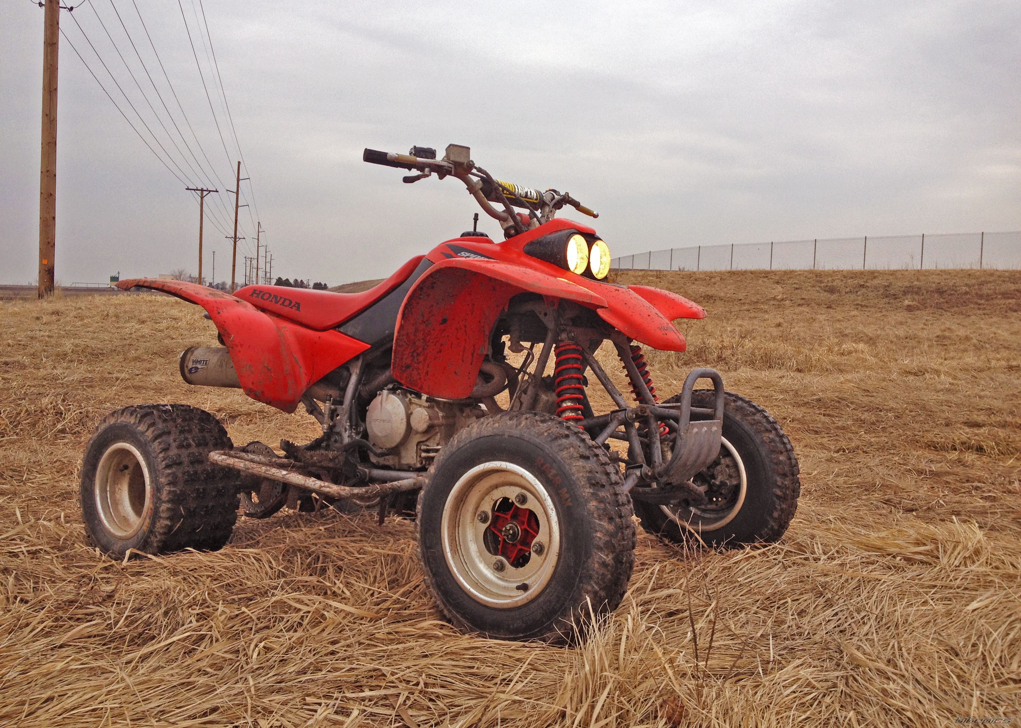 Photo 2653183