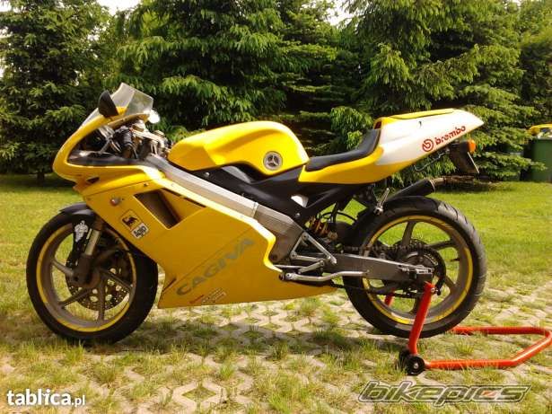 Photo 2653201