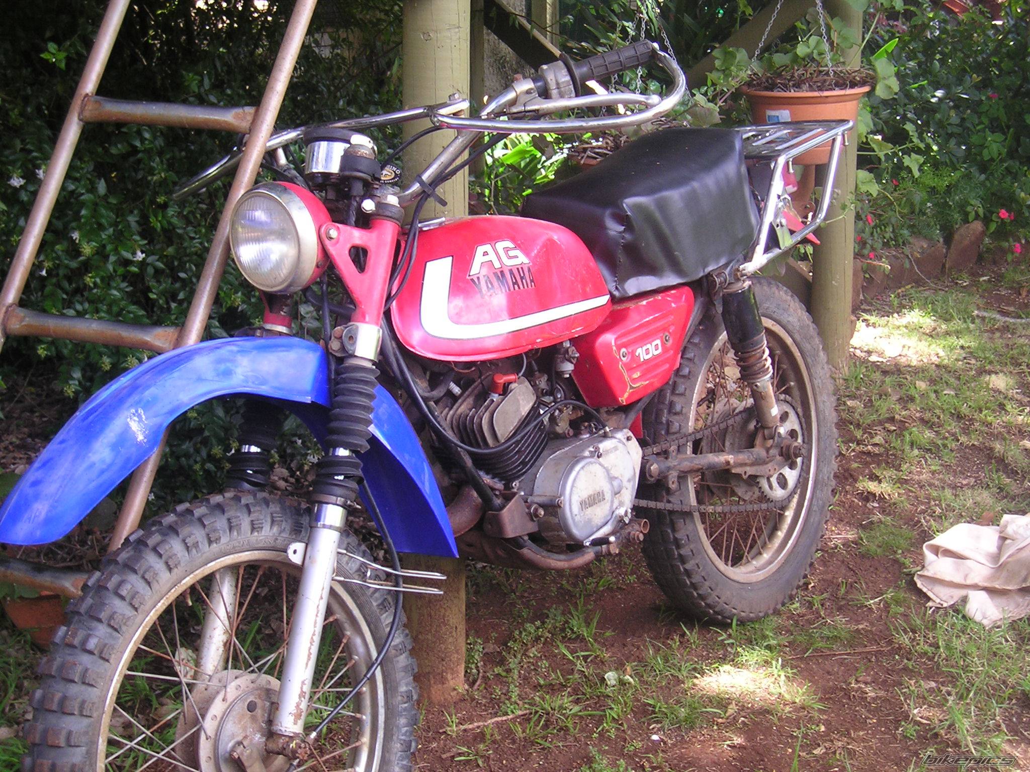 Photo 265325