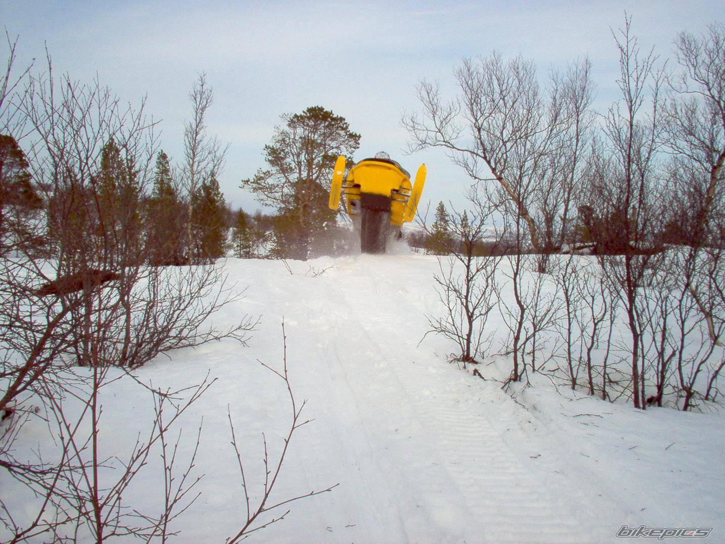 Photo 265333