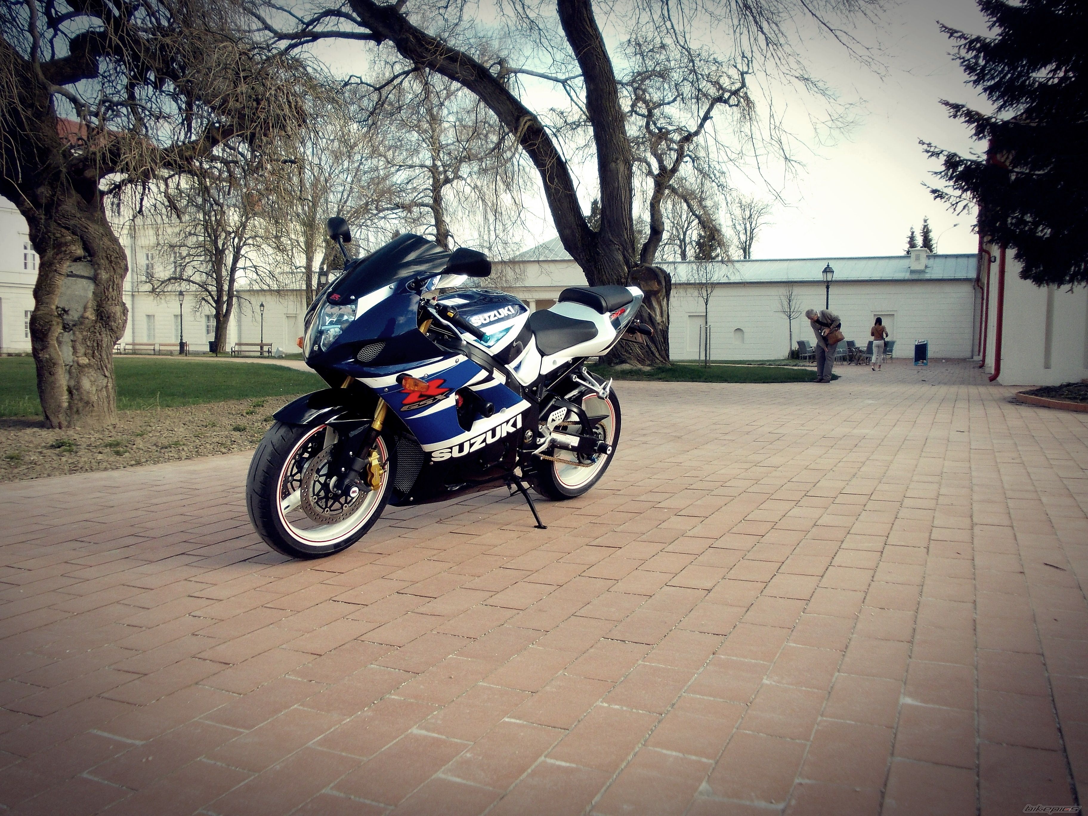 Photo 2653403