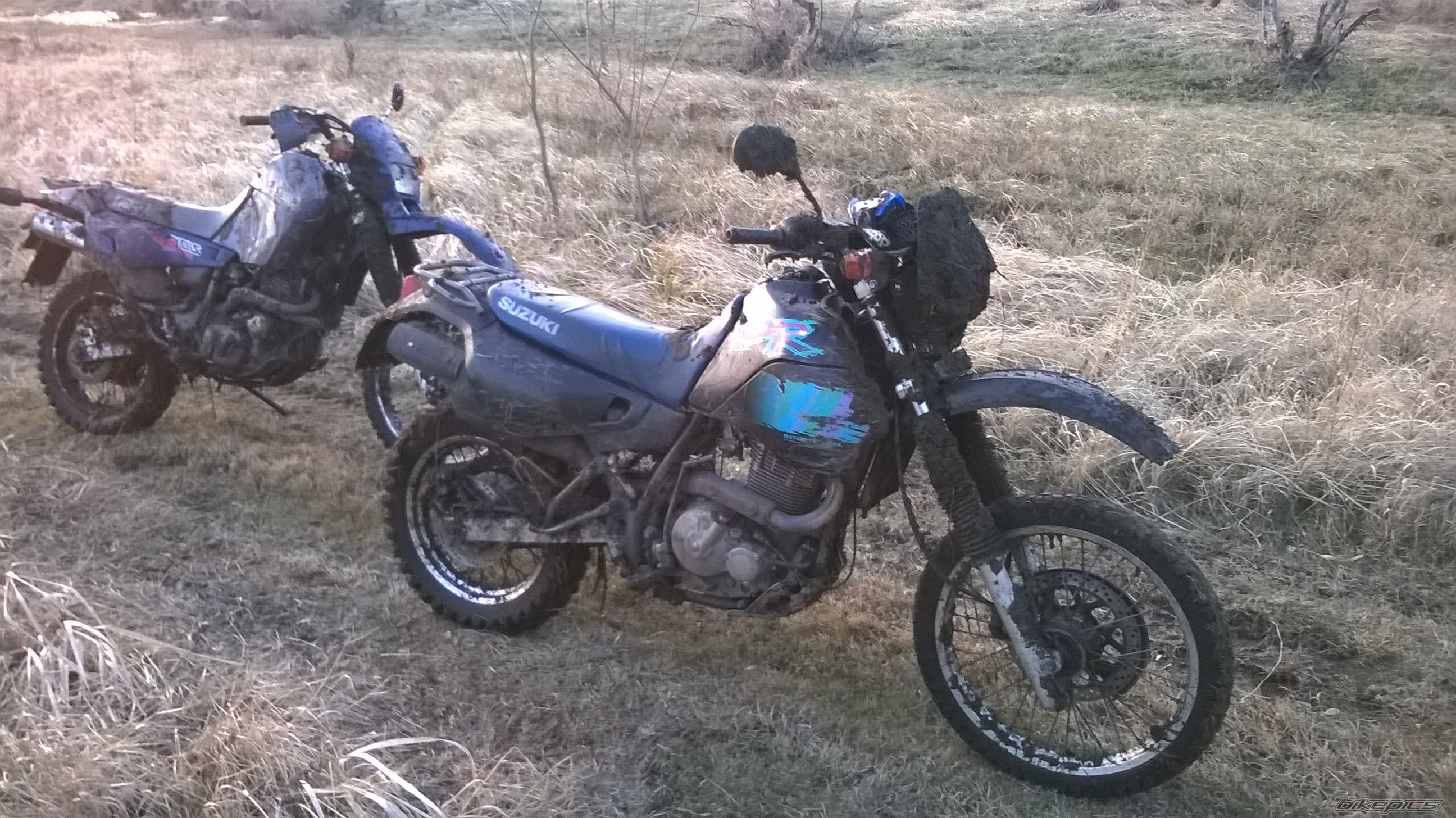Photo 2653414