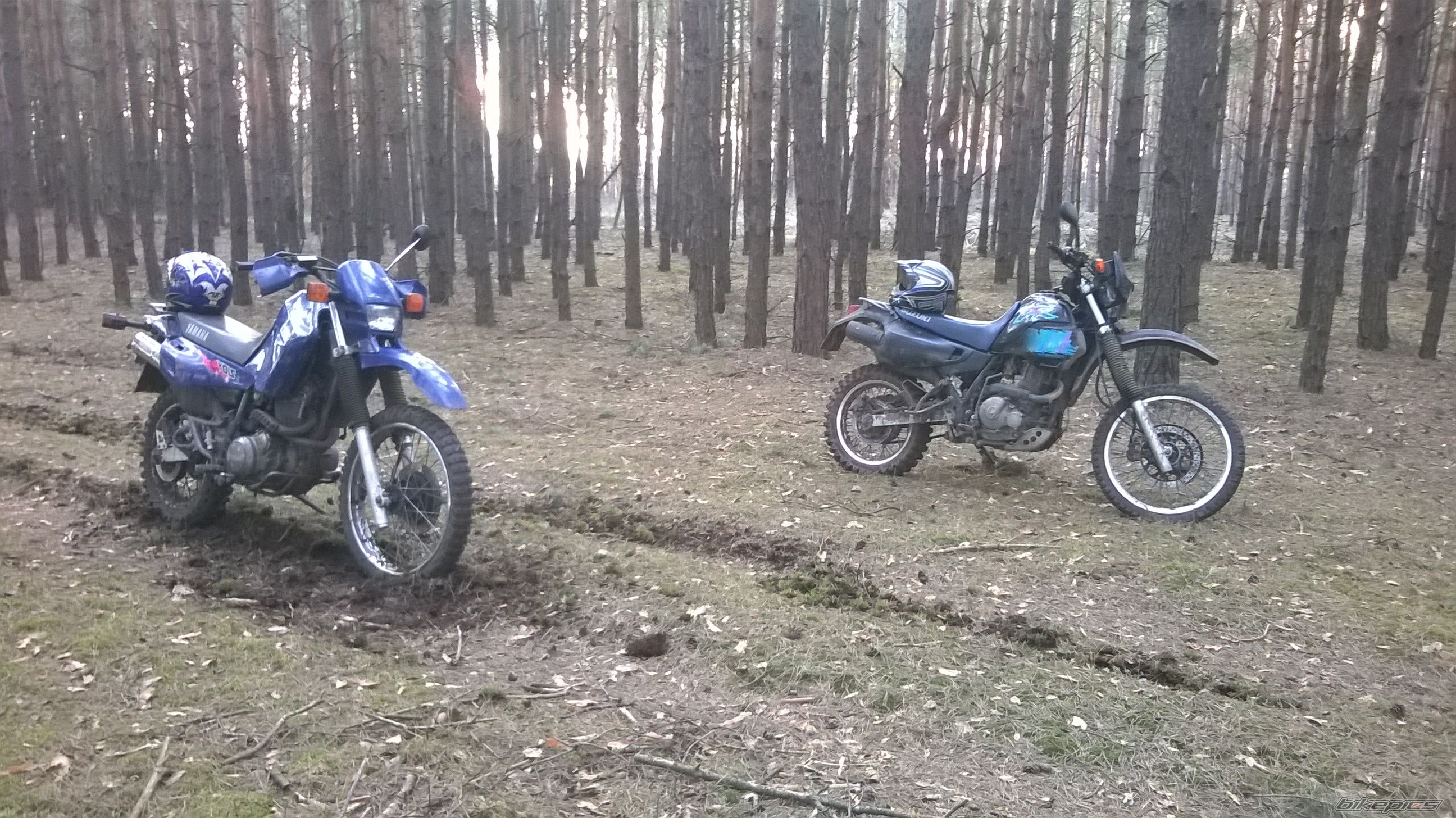 Photo 2653416