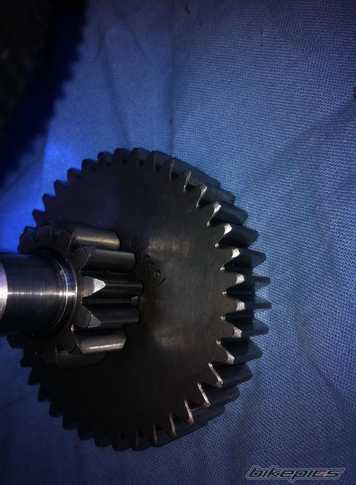 Photo 2653462