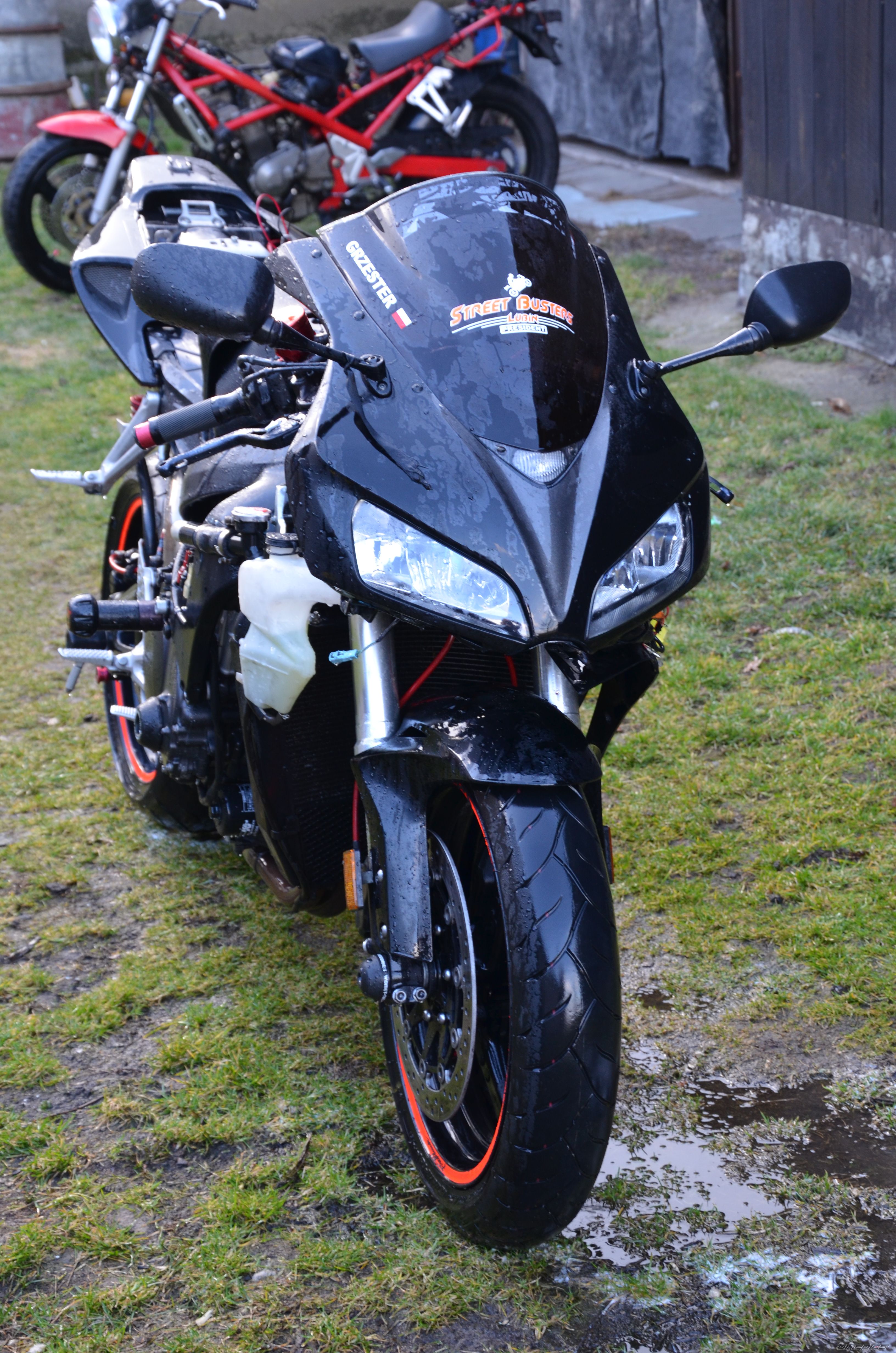 Photo 2653551