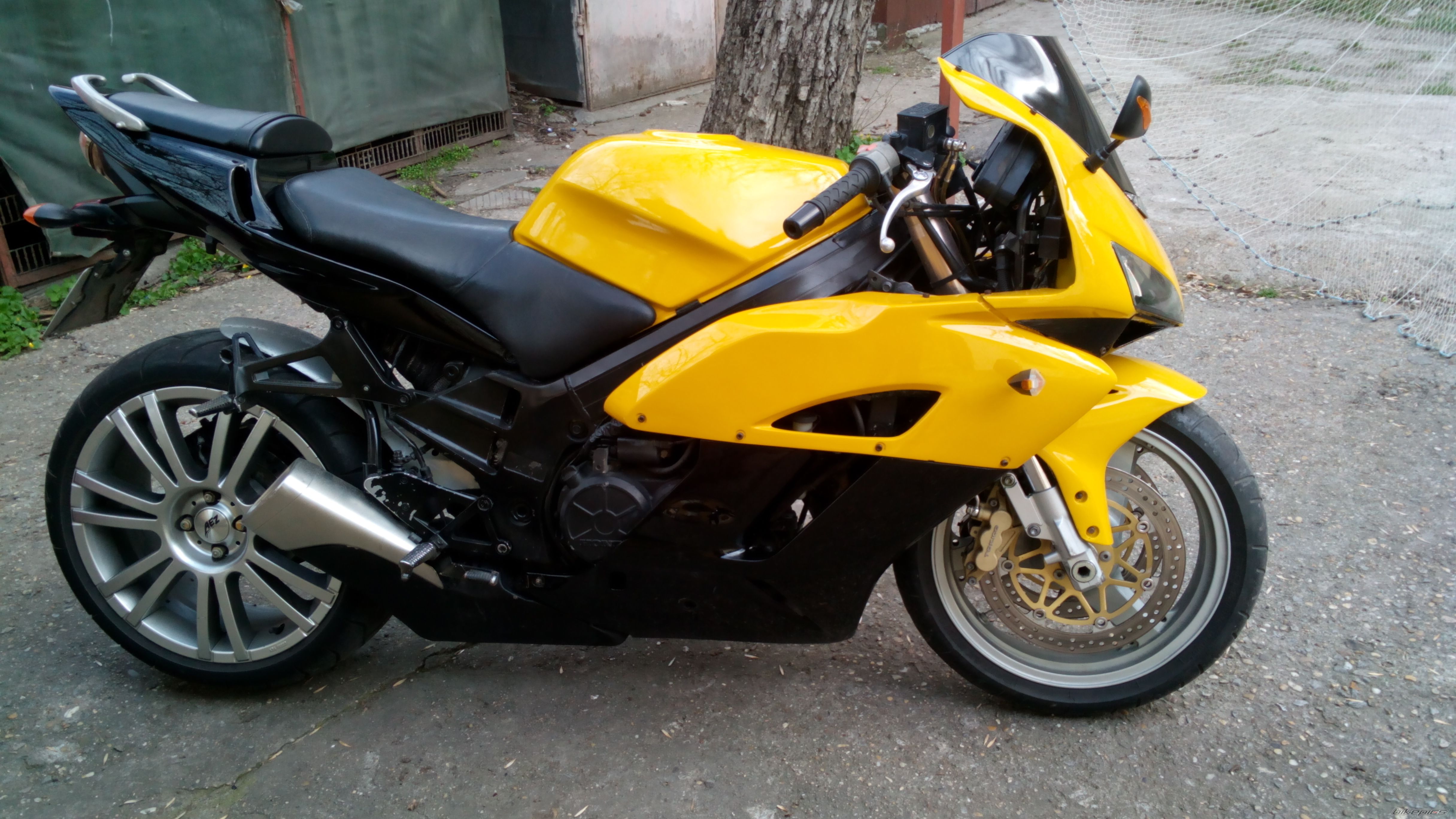 Photo 2653575
