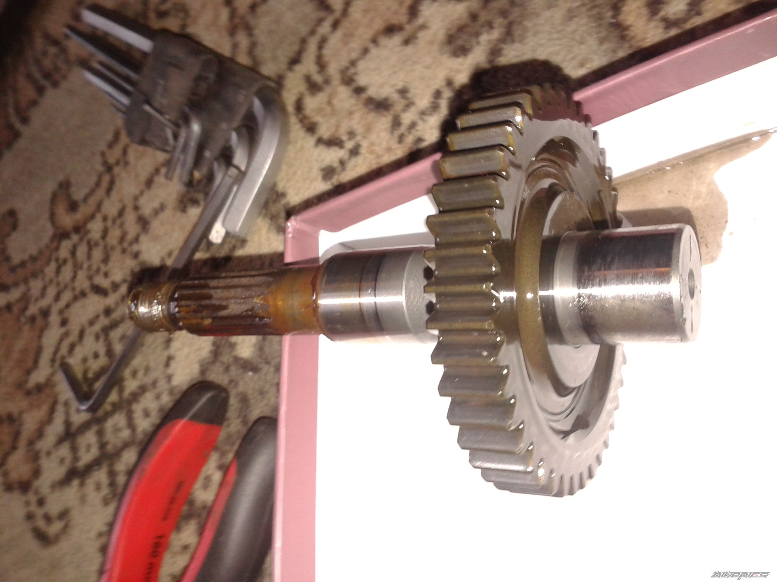Photo 2653588