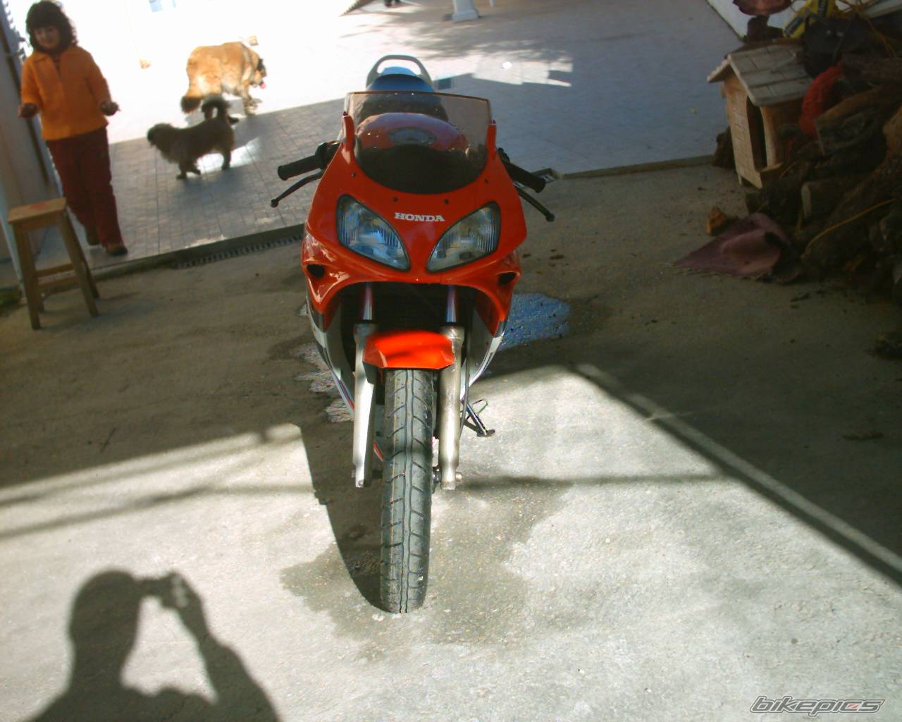 Photo 265360