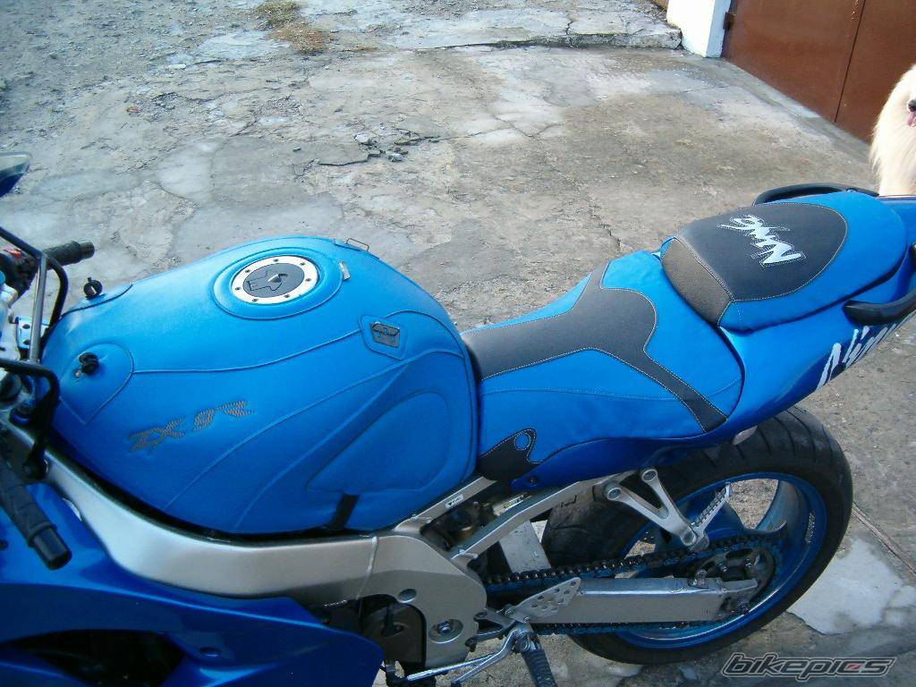 Photo 265361