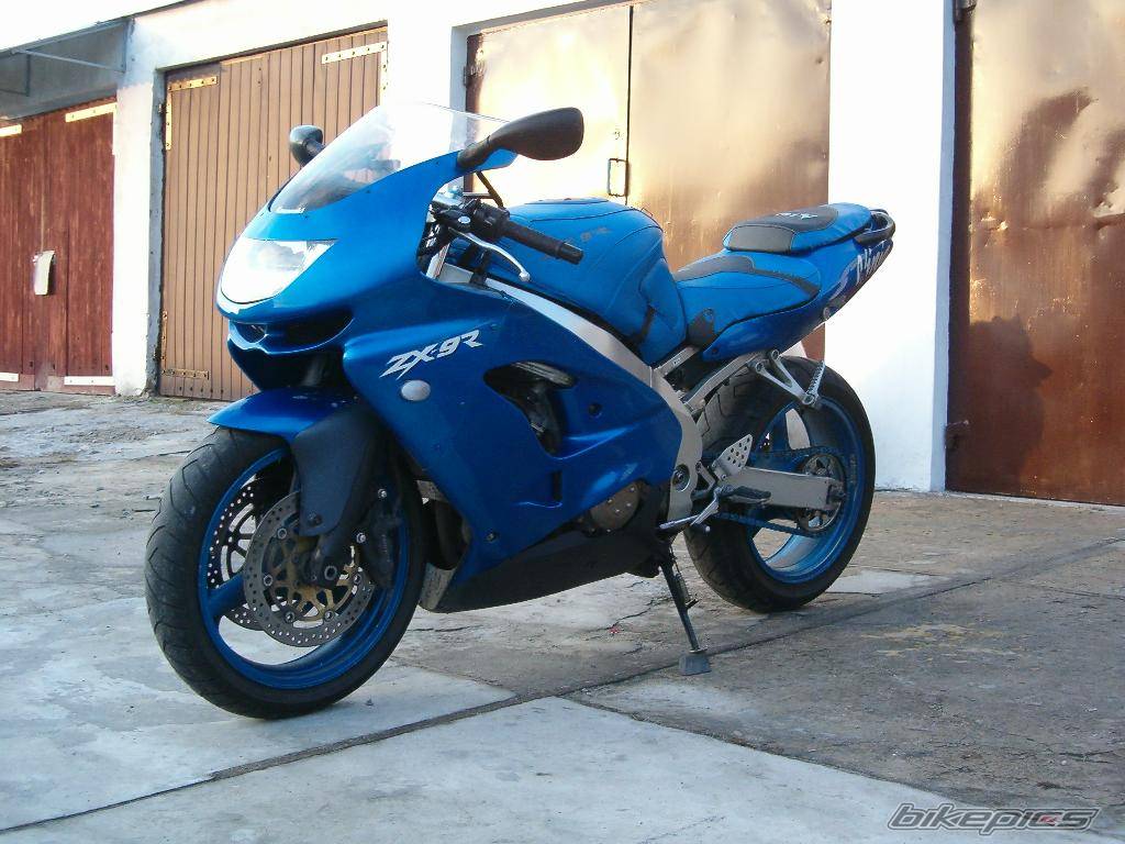 Photo 265363