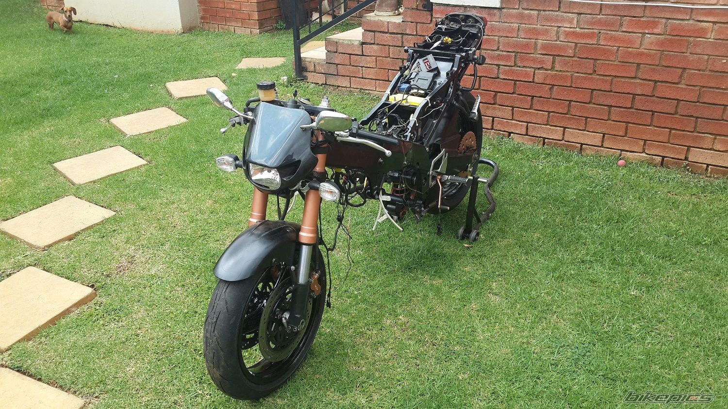 Bike Photo 2653667